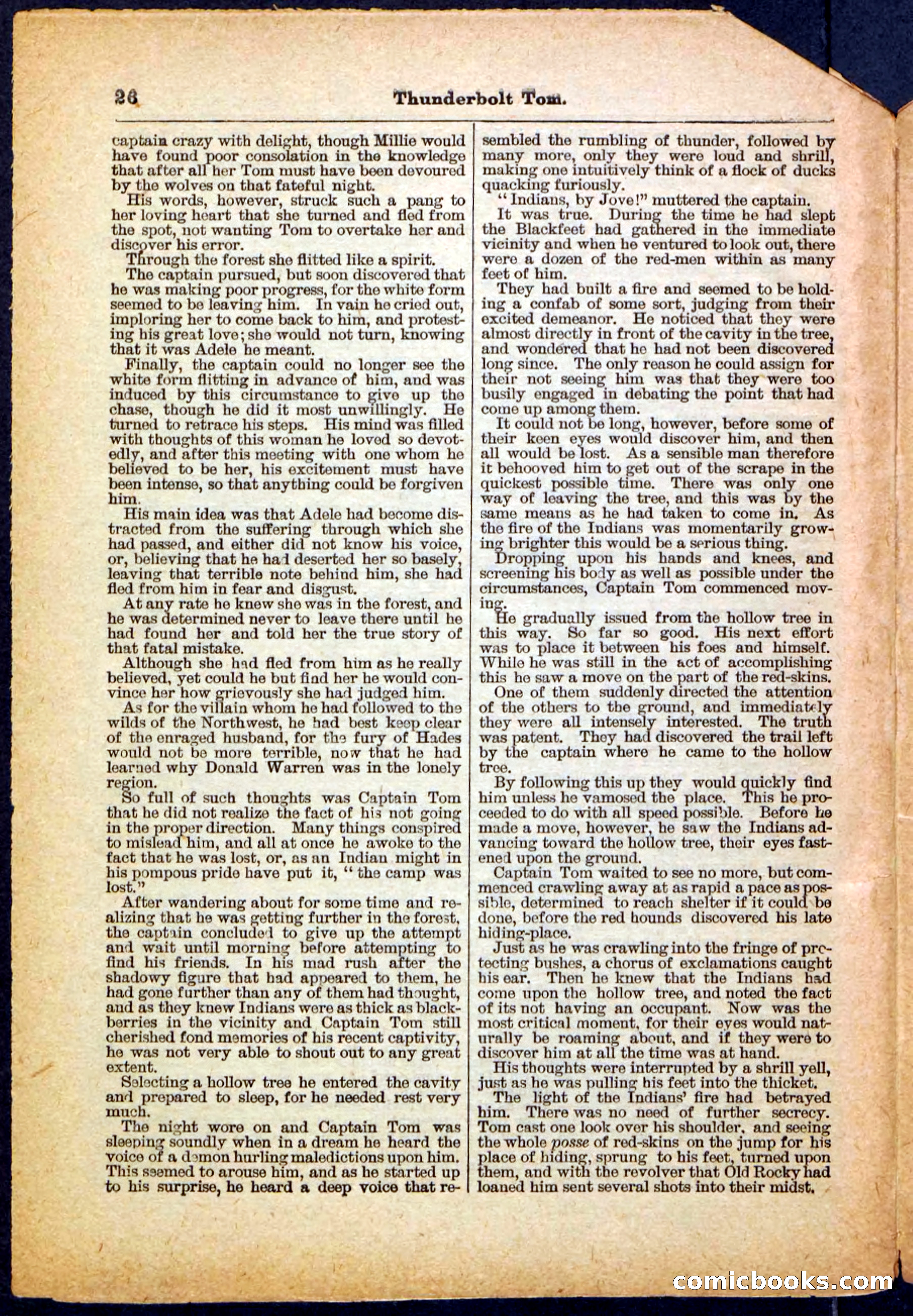 Beadle's Pocket Library No. 148 — page 26 of 32