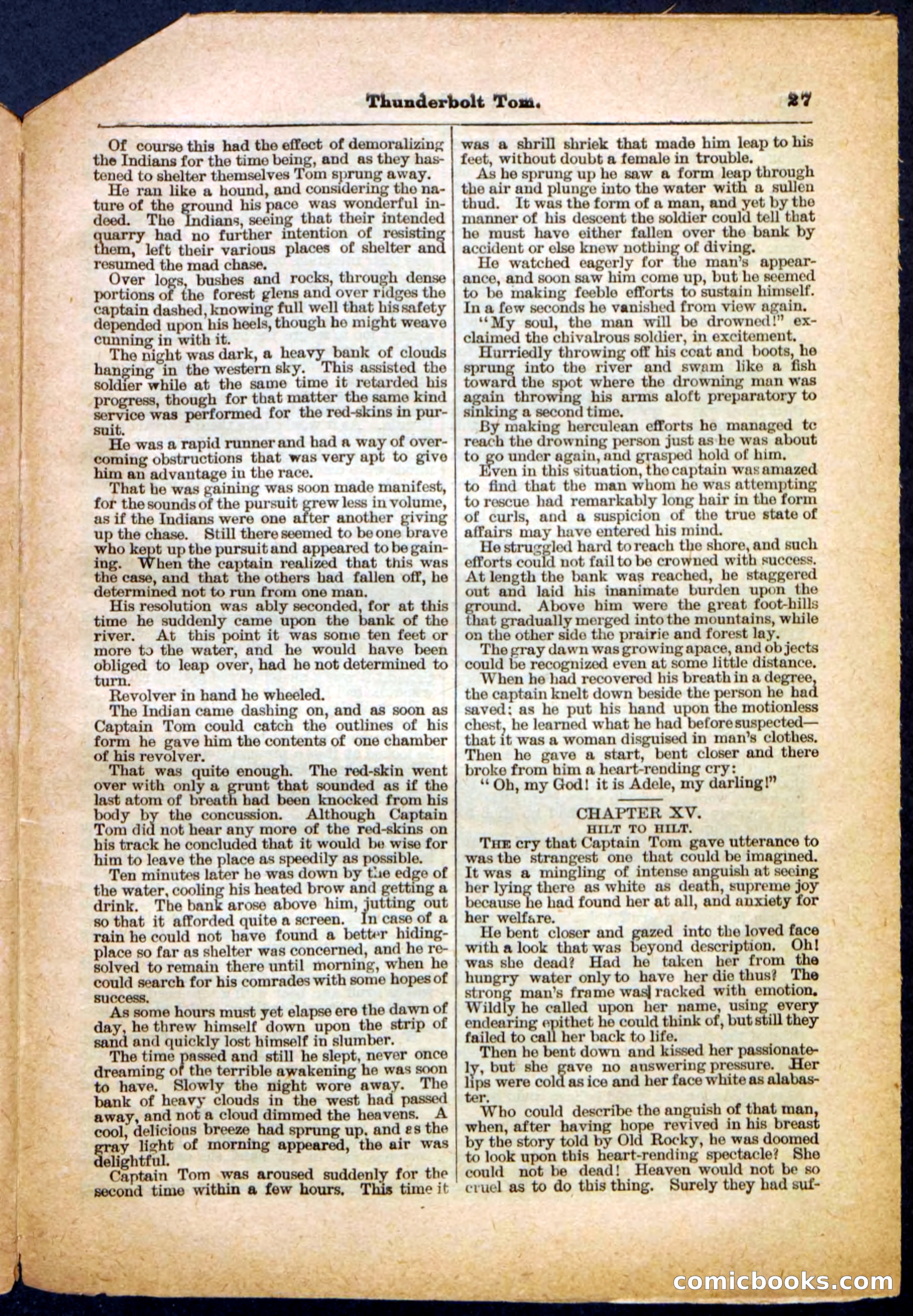 Beadle's Pocket Library No. 148 — page 27 of 32