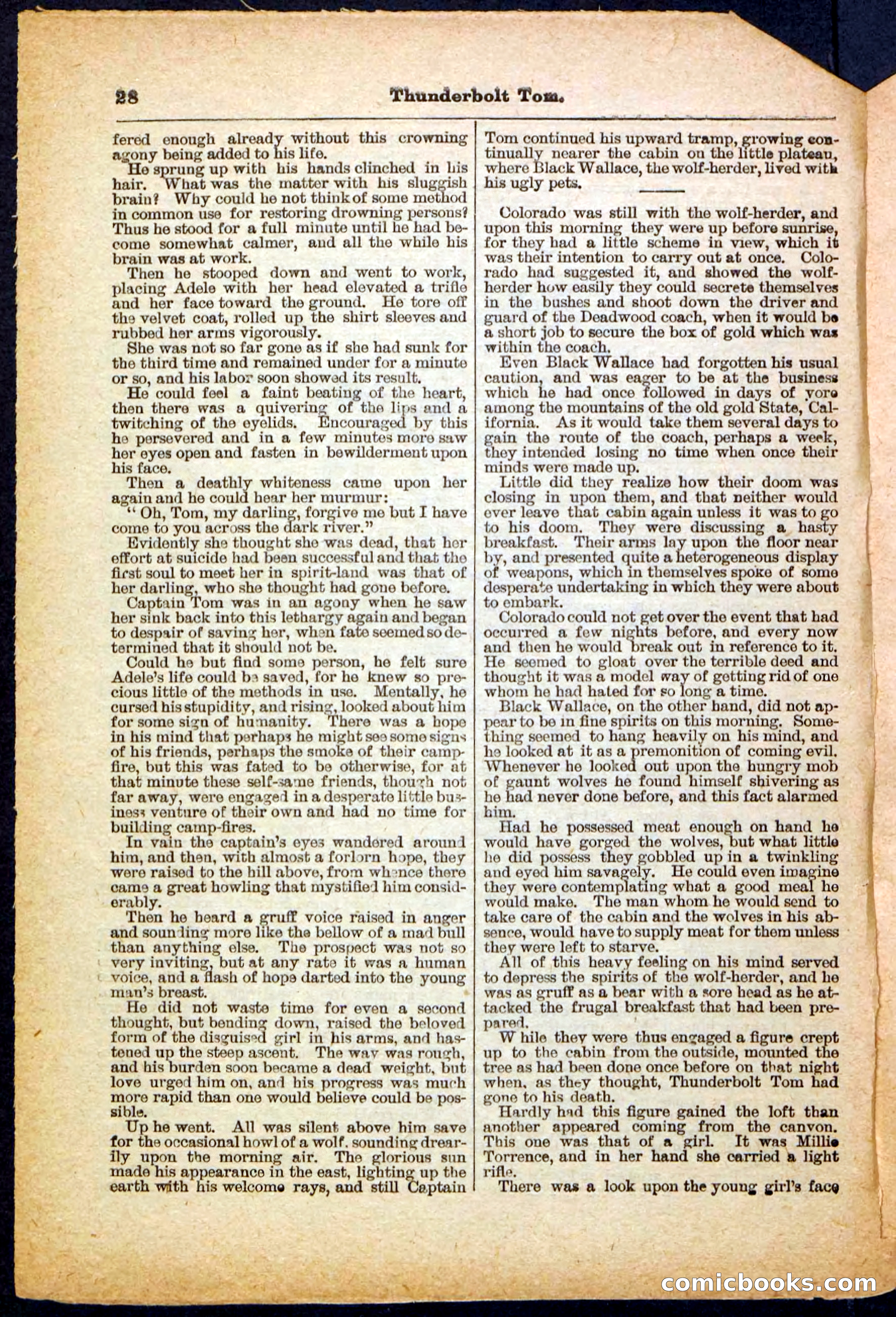 Beadle's Pocket Library No. 148 — page 28 of 32