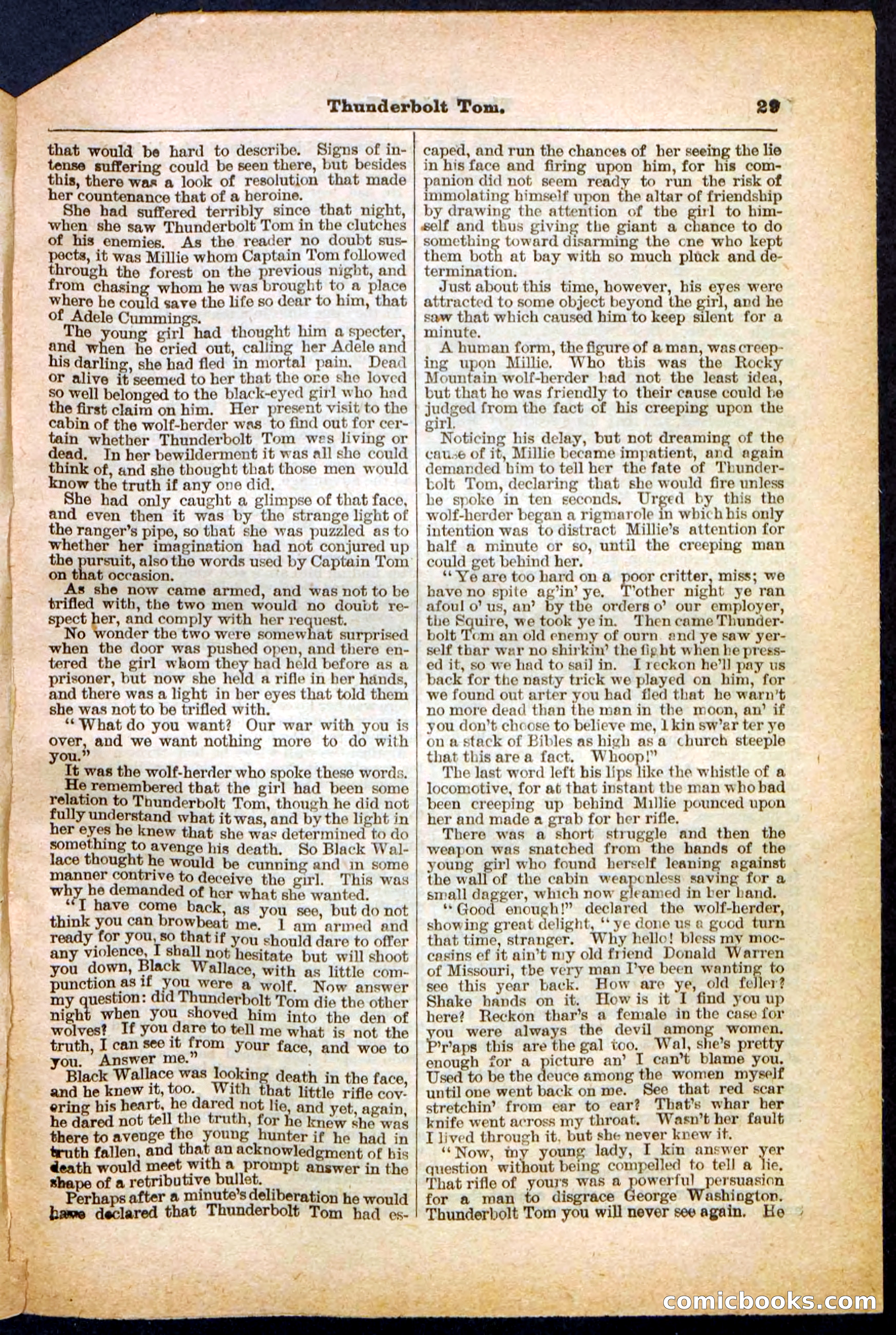 Beadle's Pocket Library No. 148 — page 29 of 32