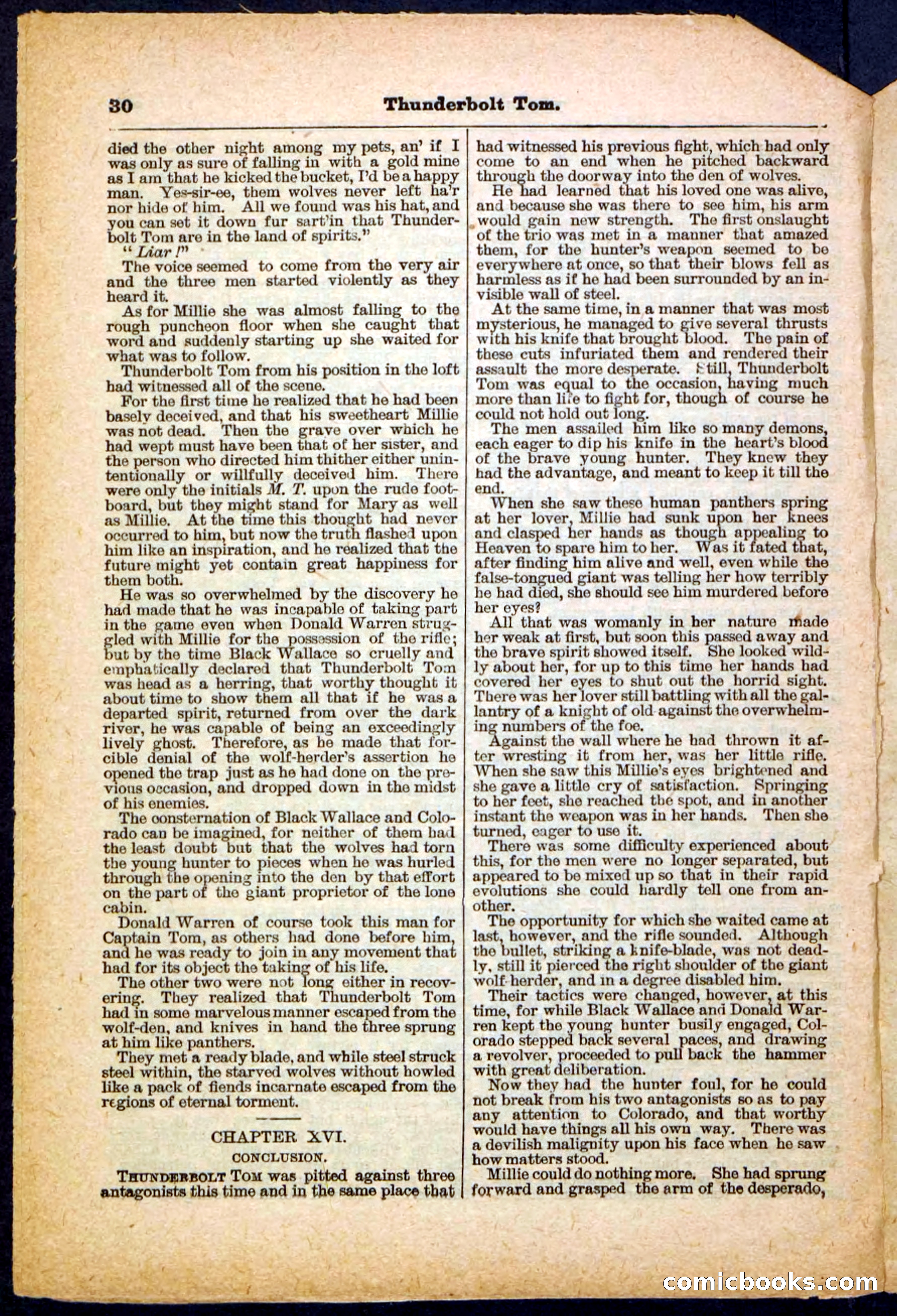Beadle's Pocket Library No. 148 — page 30 of 32
