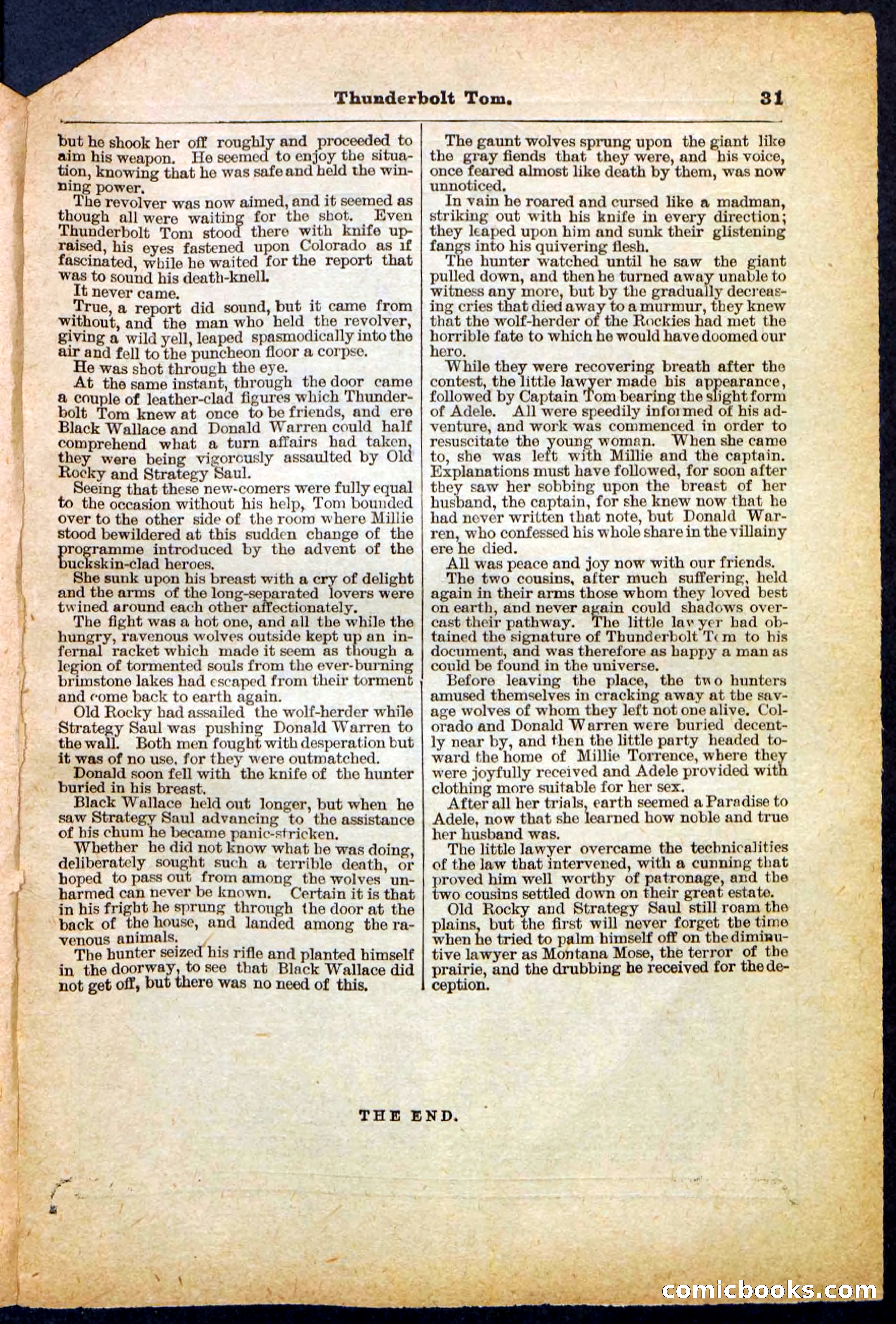 Beadle's Pocket Library No. 148 — page 31 of 32