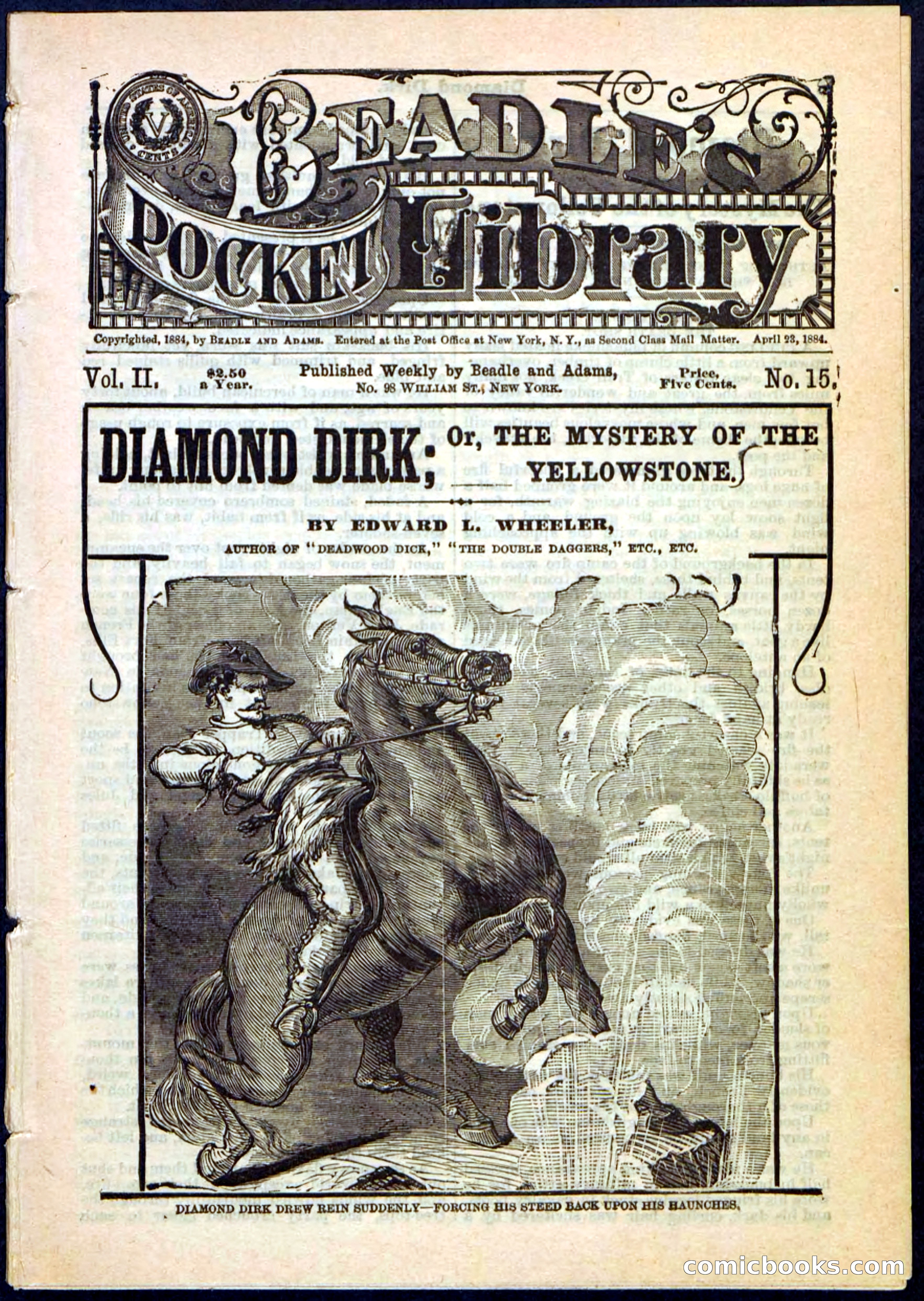 Beadle's Pocket Library No. 15 — page 1 of 32
