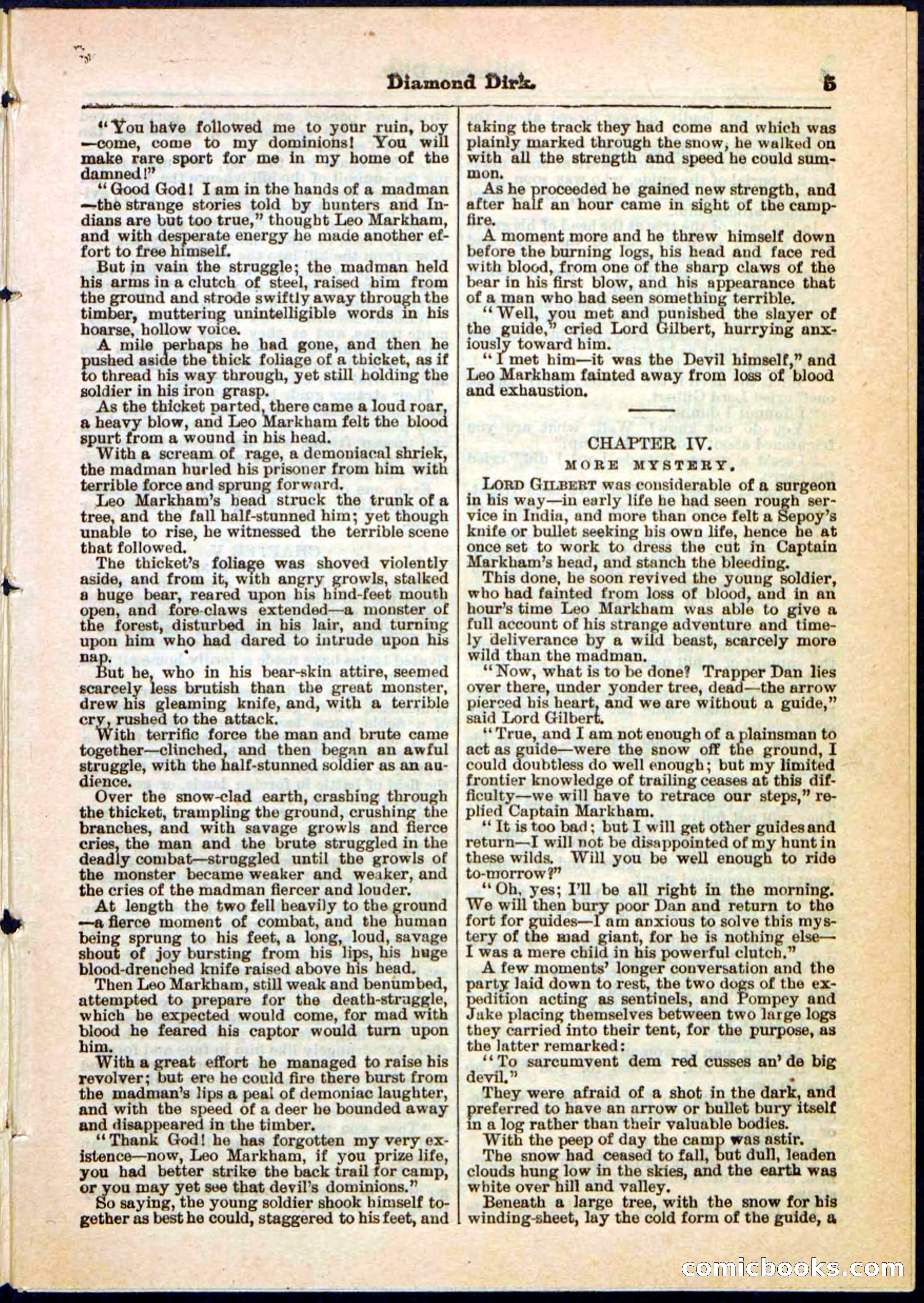 Beadle's Pocket Library No. 15 — page 5 of 32