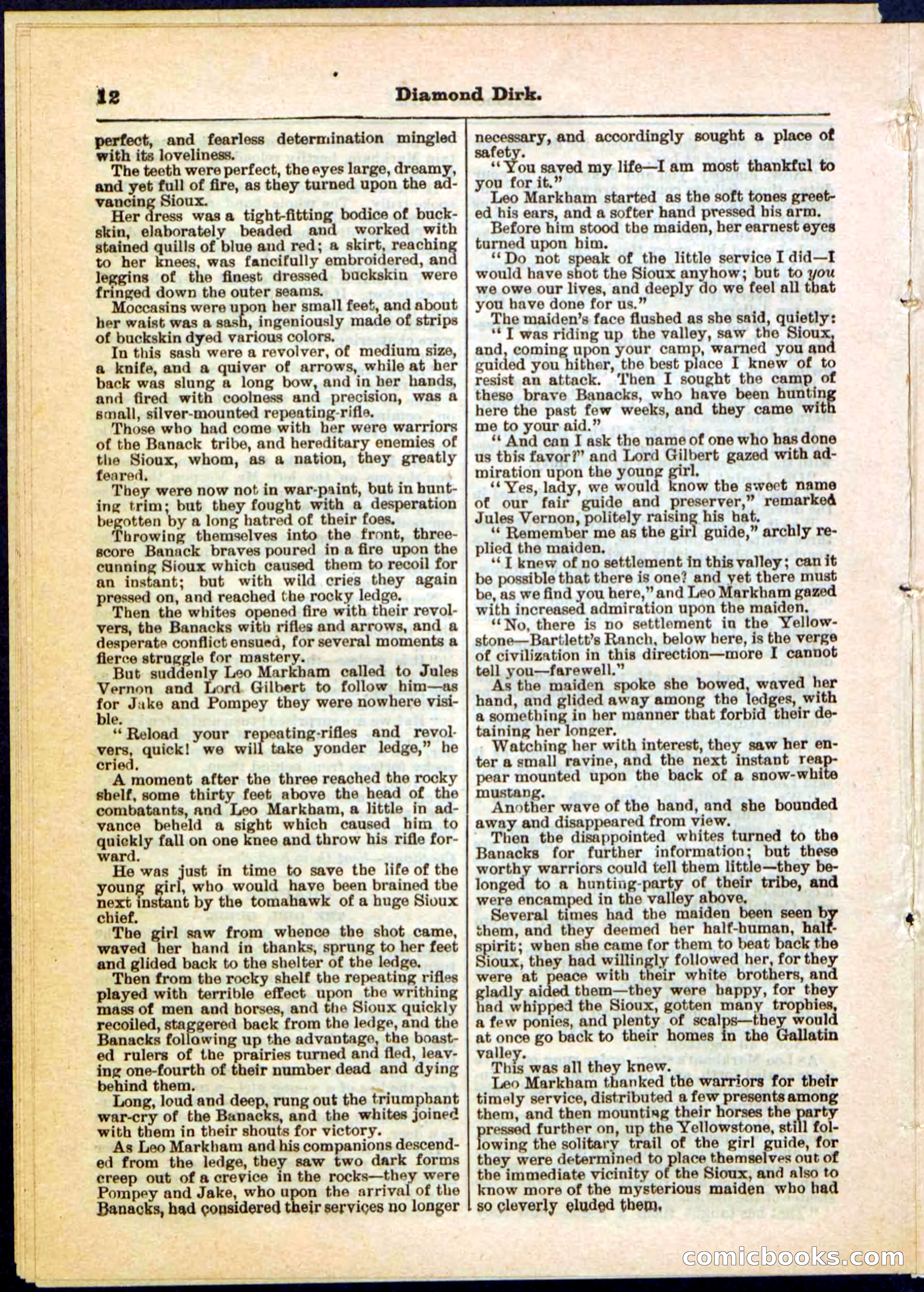 Beadle's Pocket Library No. 15 — page 12 of 32