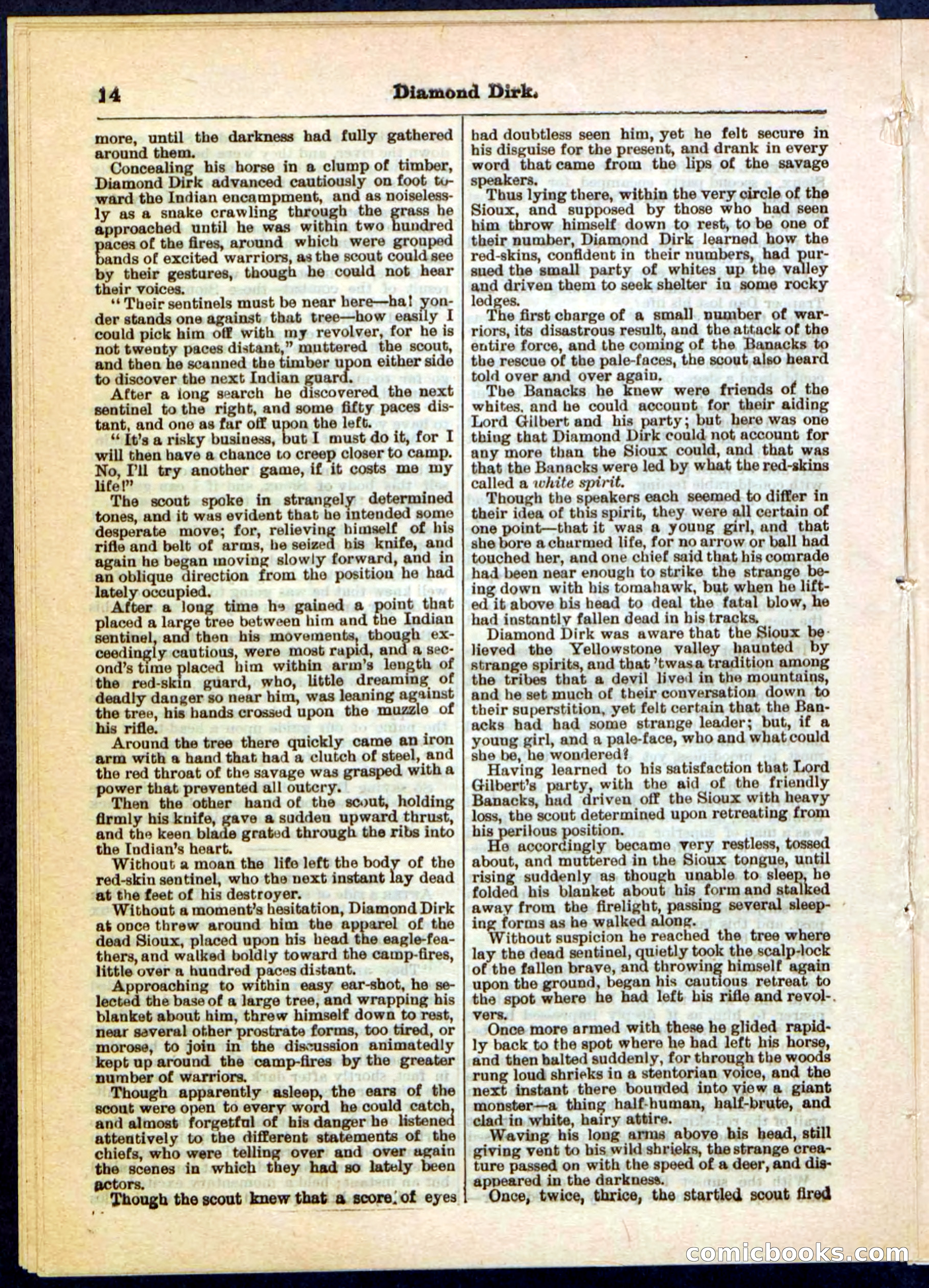Beadle's Pocket Library No. 15 — page 14 of 32