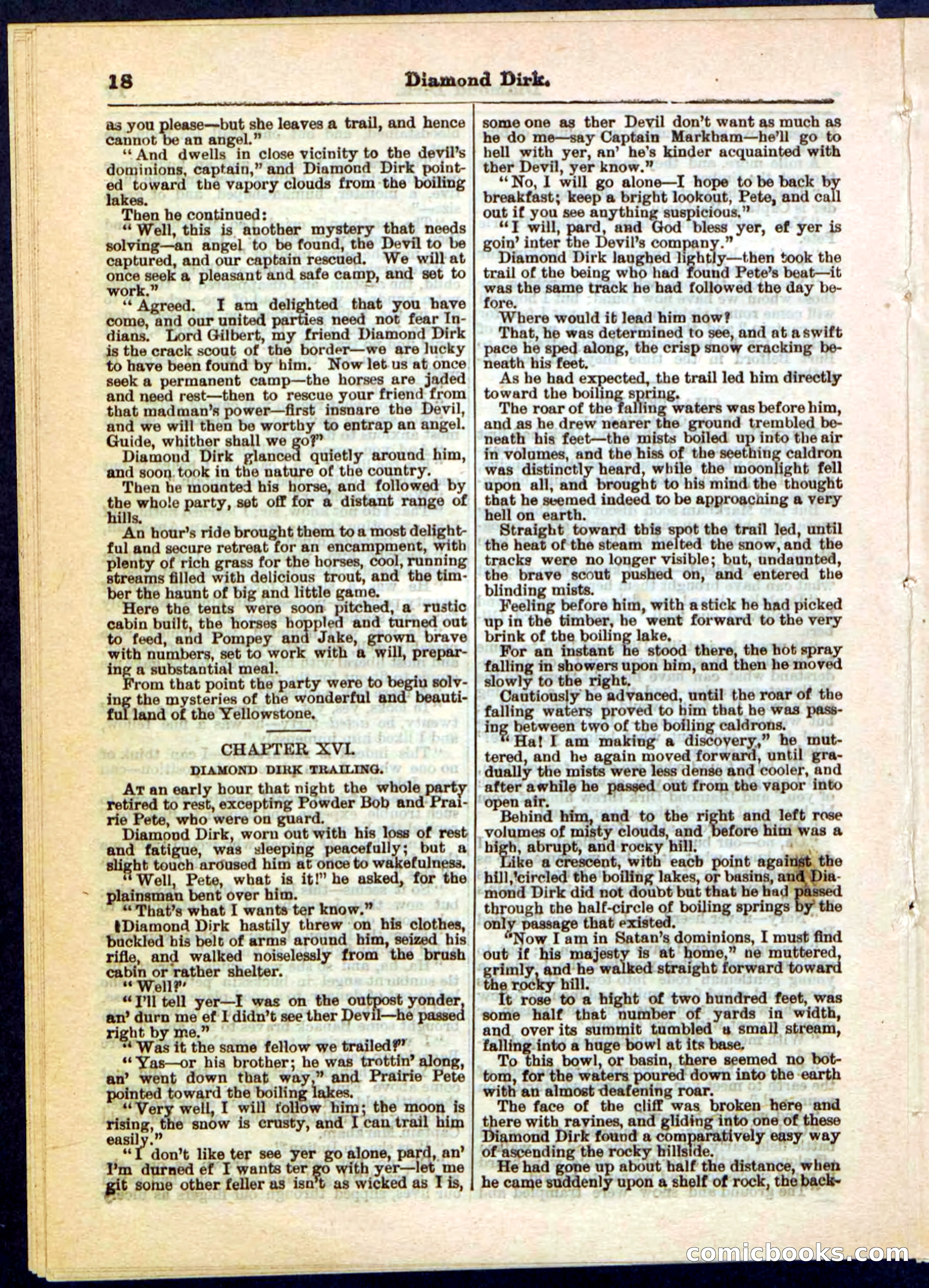 Beadle's Pocket Library No. 15 — page 18 of 32