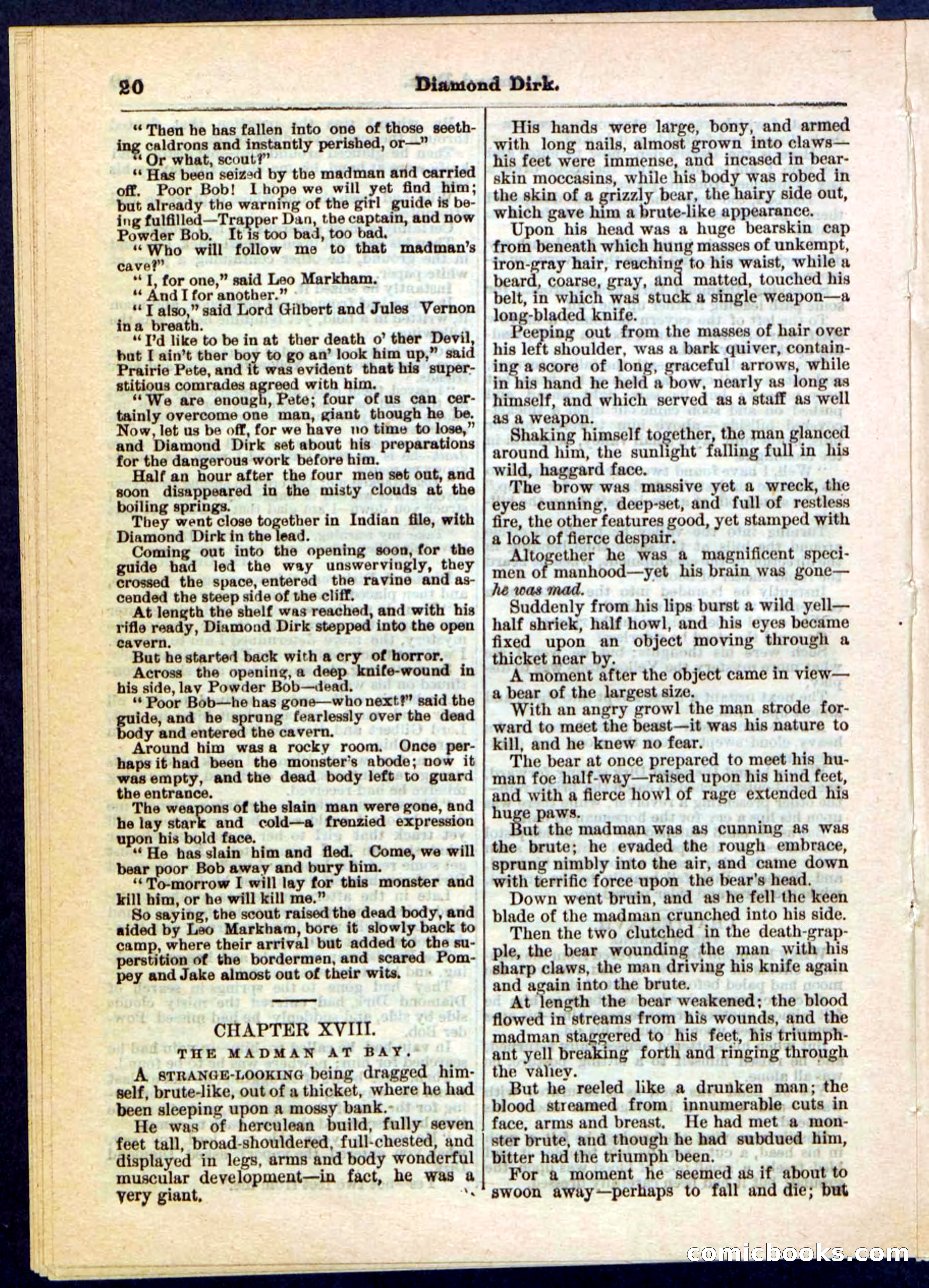 Beadle's Pocket Library No. 15 — page 20 of 32