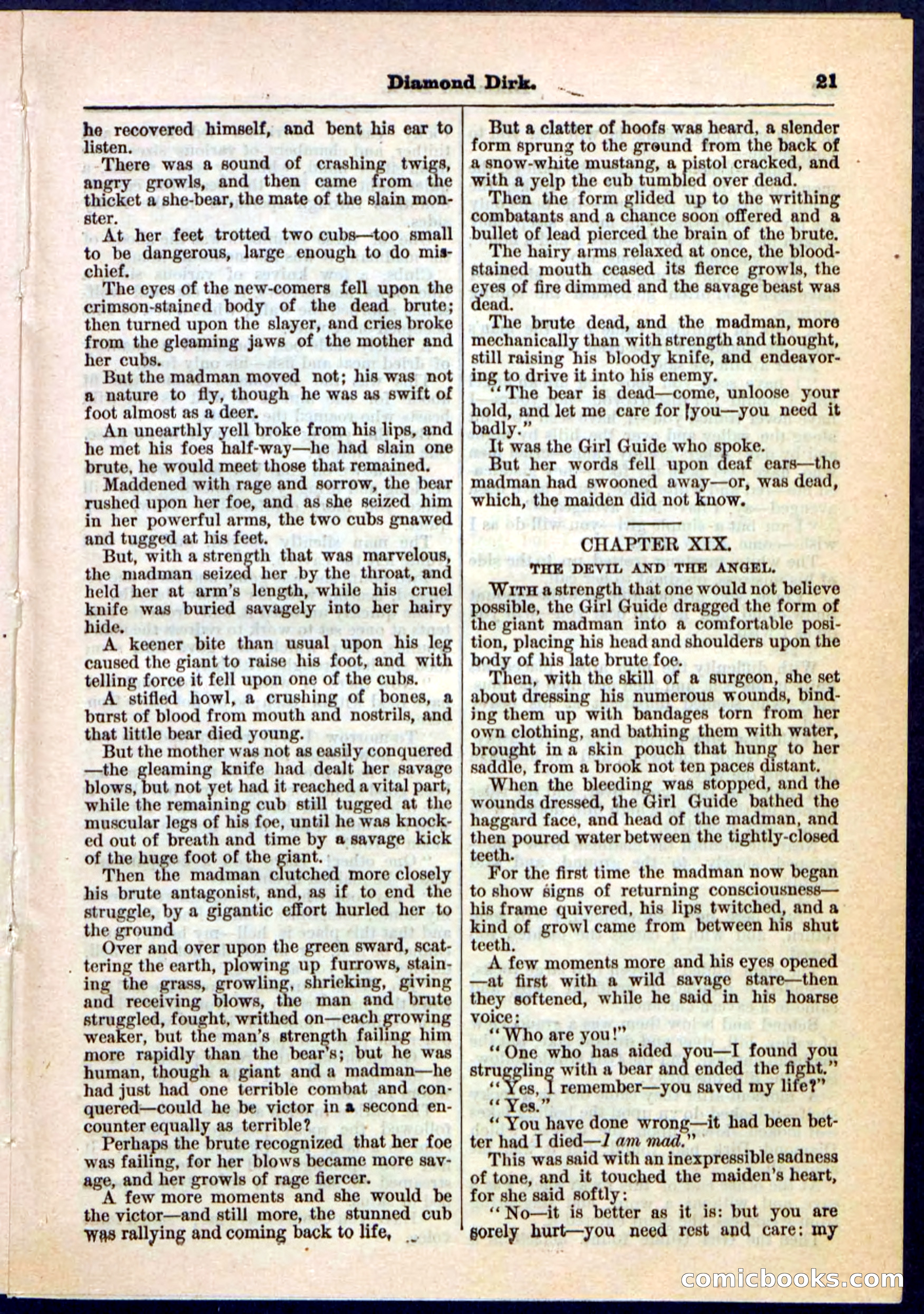 Beadle's Pocket Library No. 15 — page 21 of 32