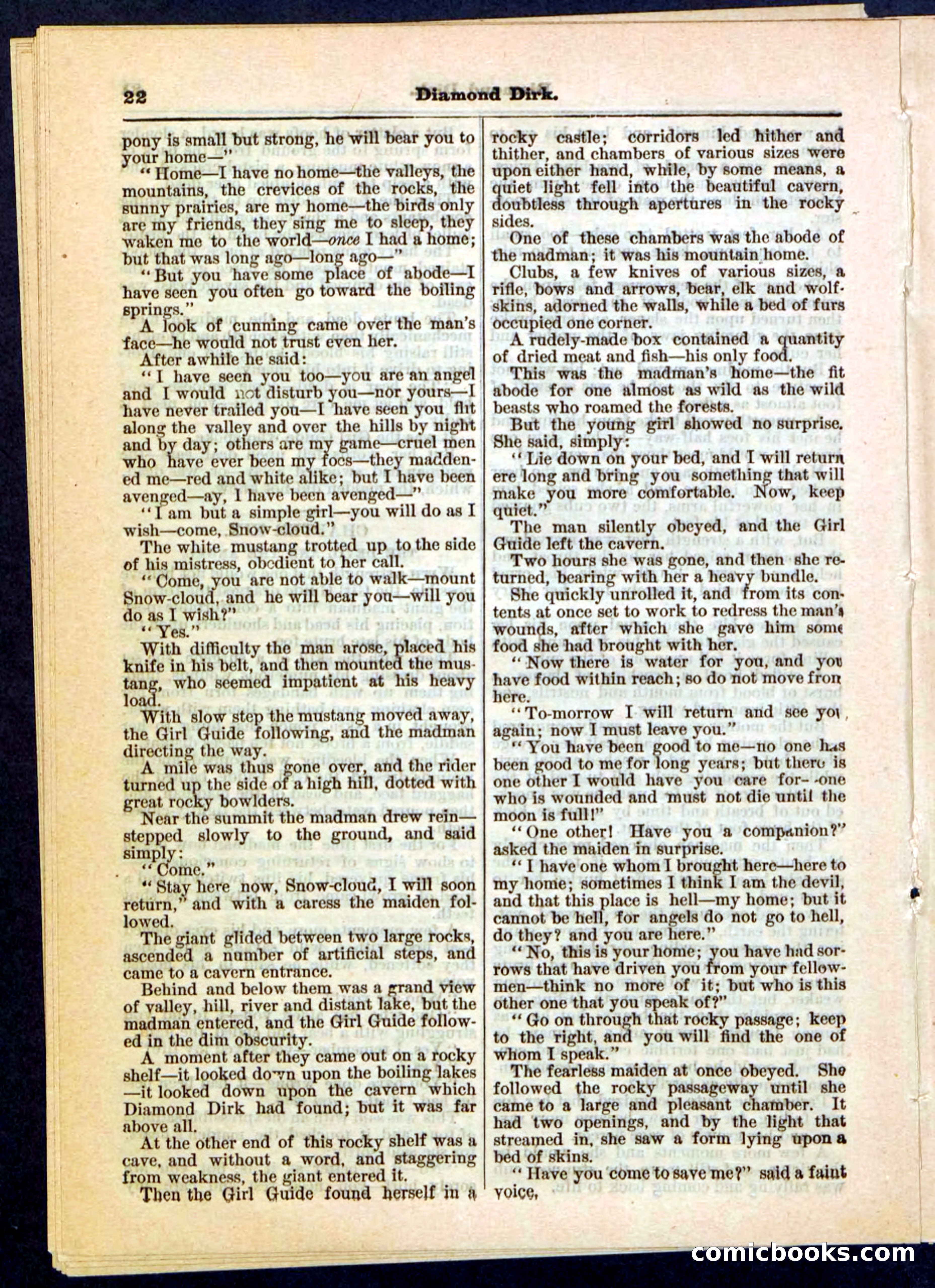 Beadle's Pocket Library No. 15 — page 22 of 32
