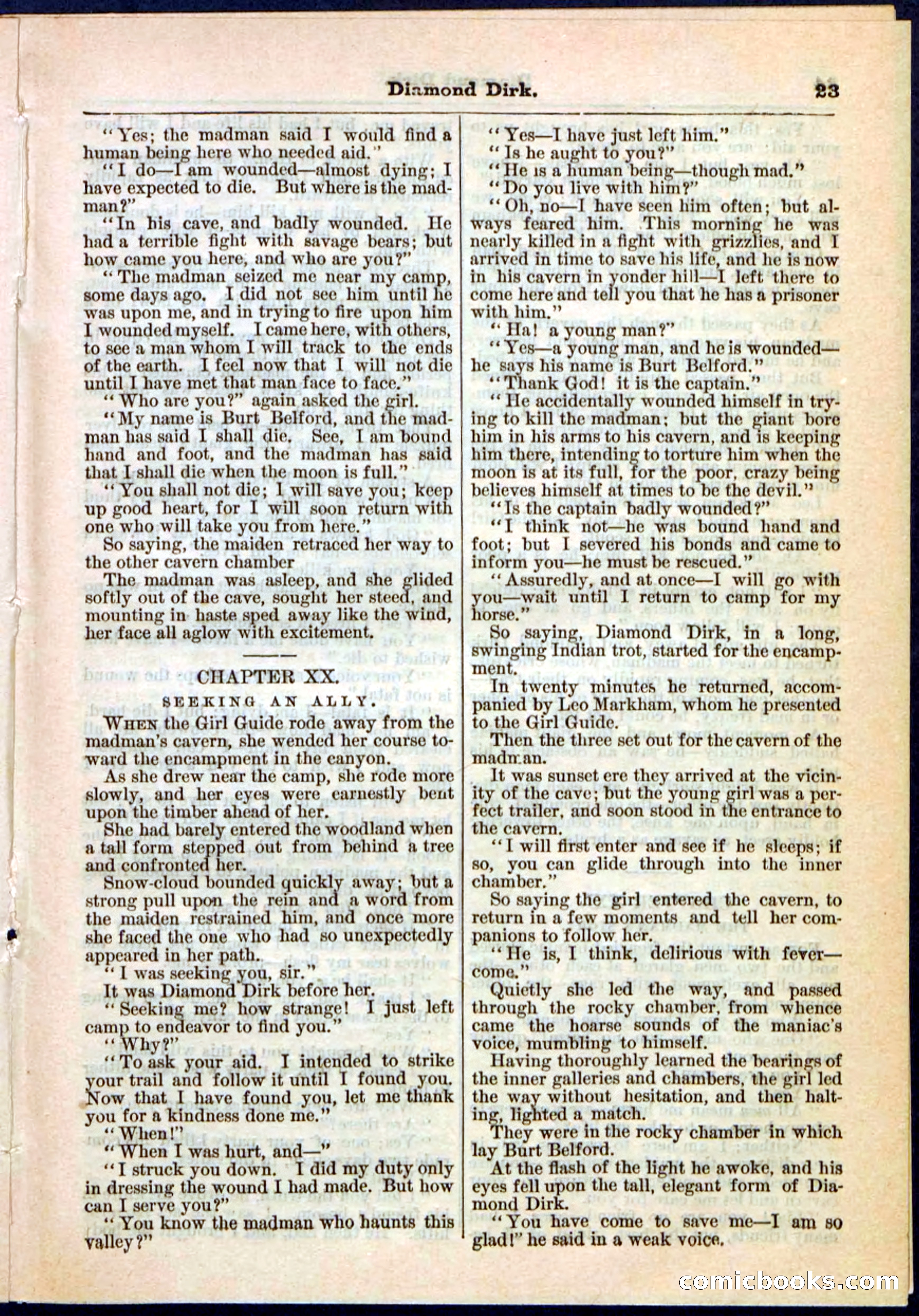 Beadle's Pocket Library No. 15 — page 23 of 32