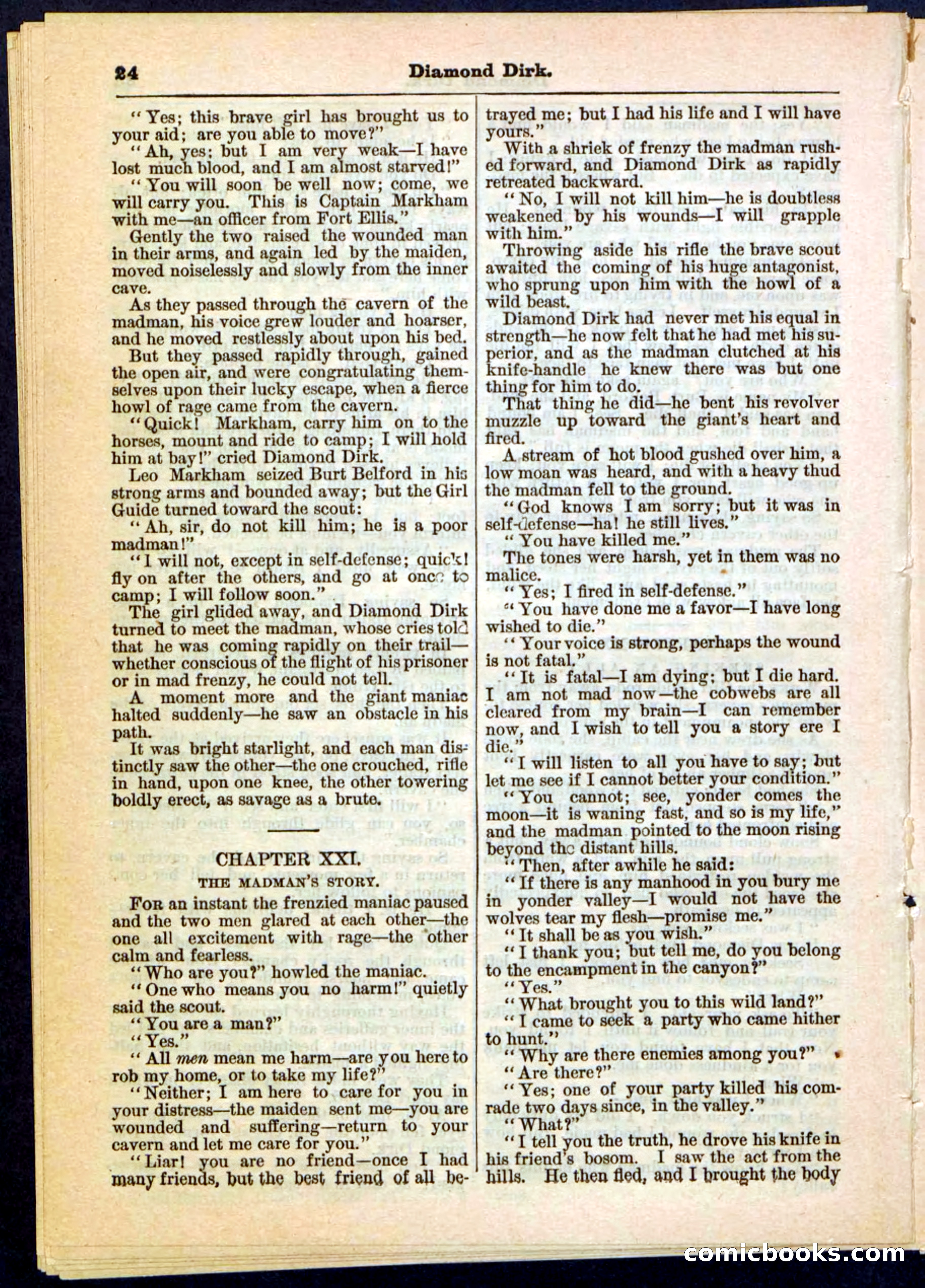 Beadle's Pocket Library No. 15 — page 24 of 32