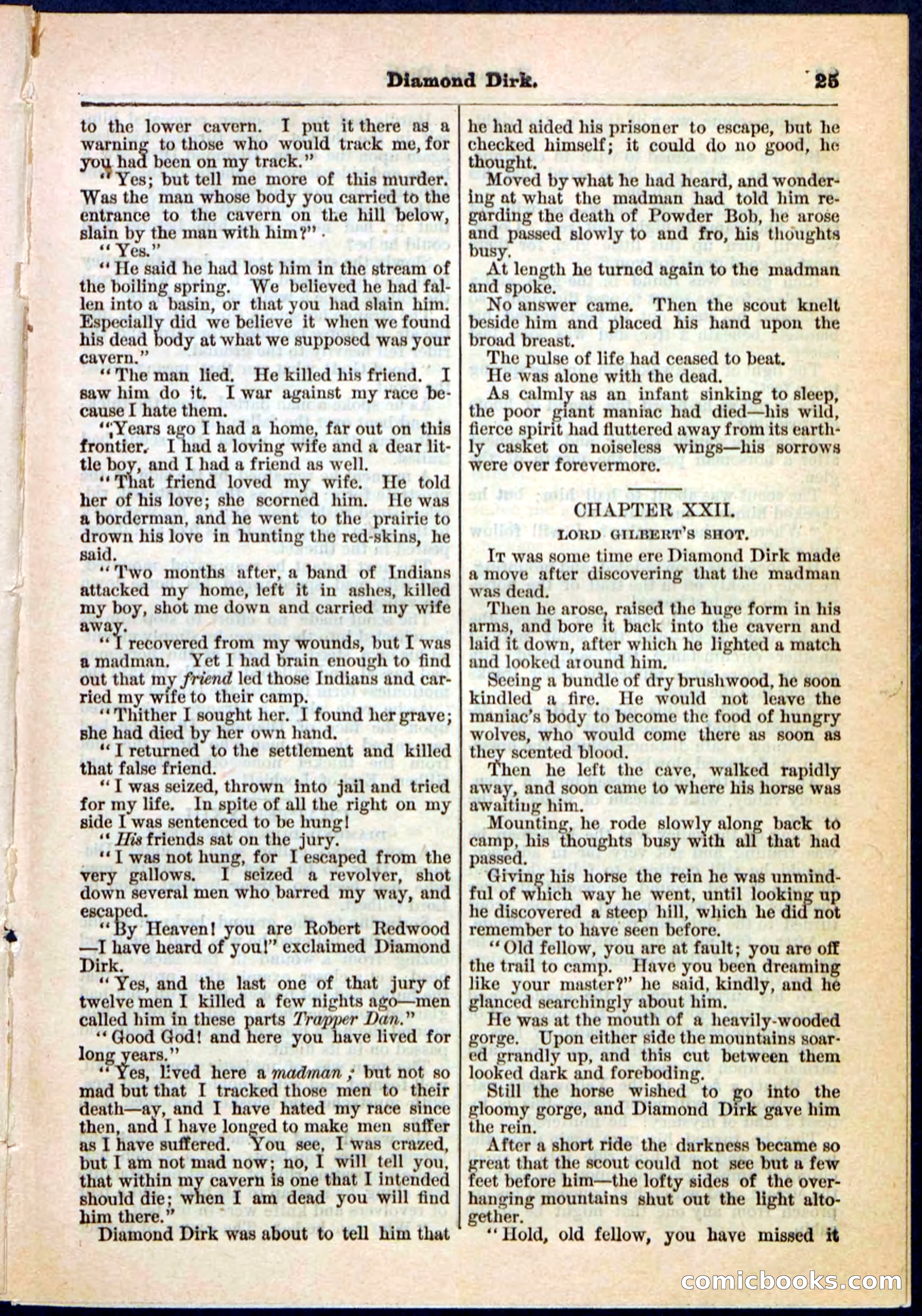 Beadle's Pocket Library No. 15 — page 25 of 32