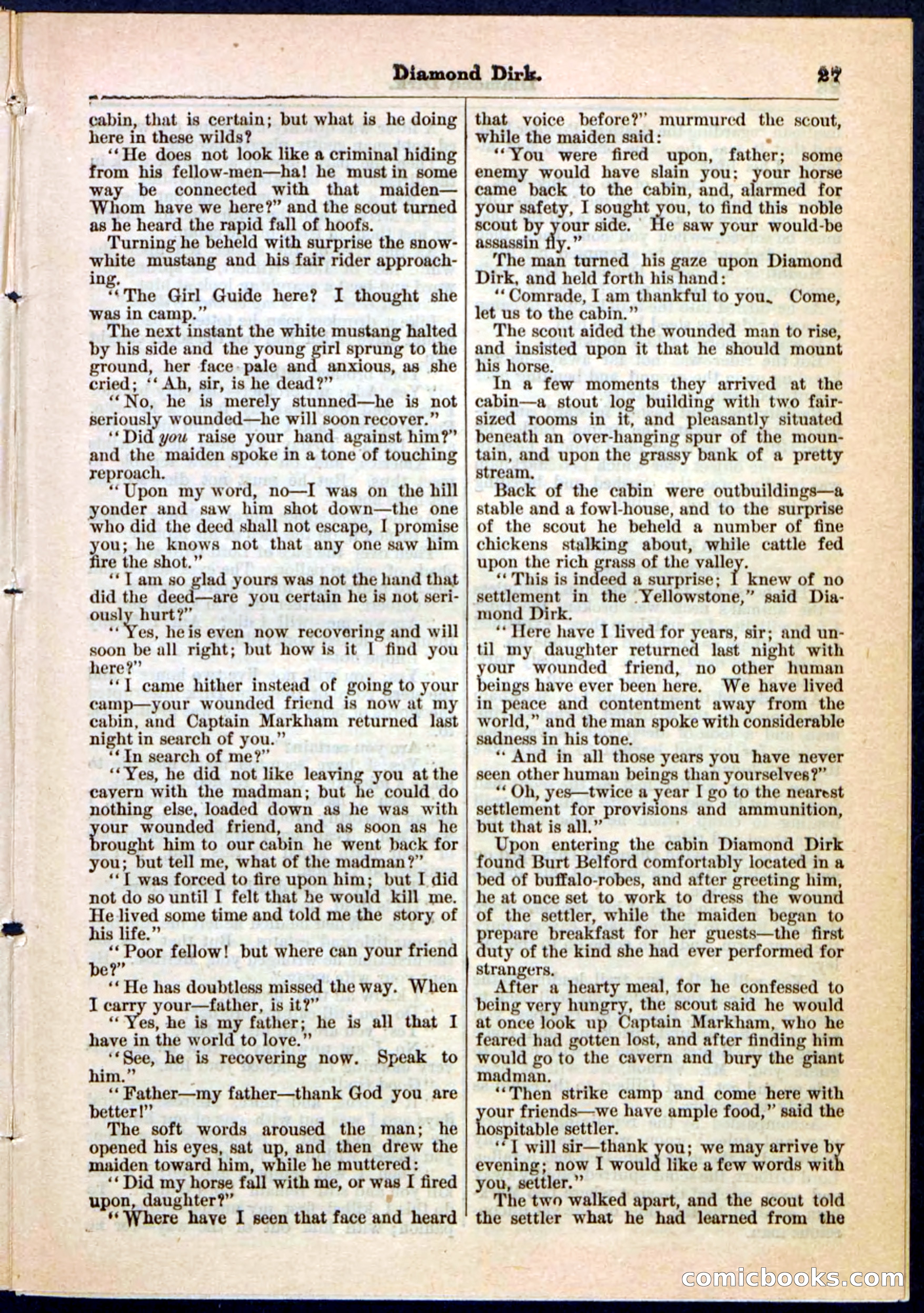 Beadle's Pocket Library No. 15 — page 27 of 32