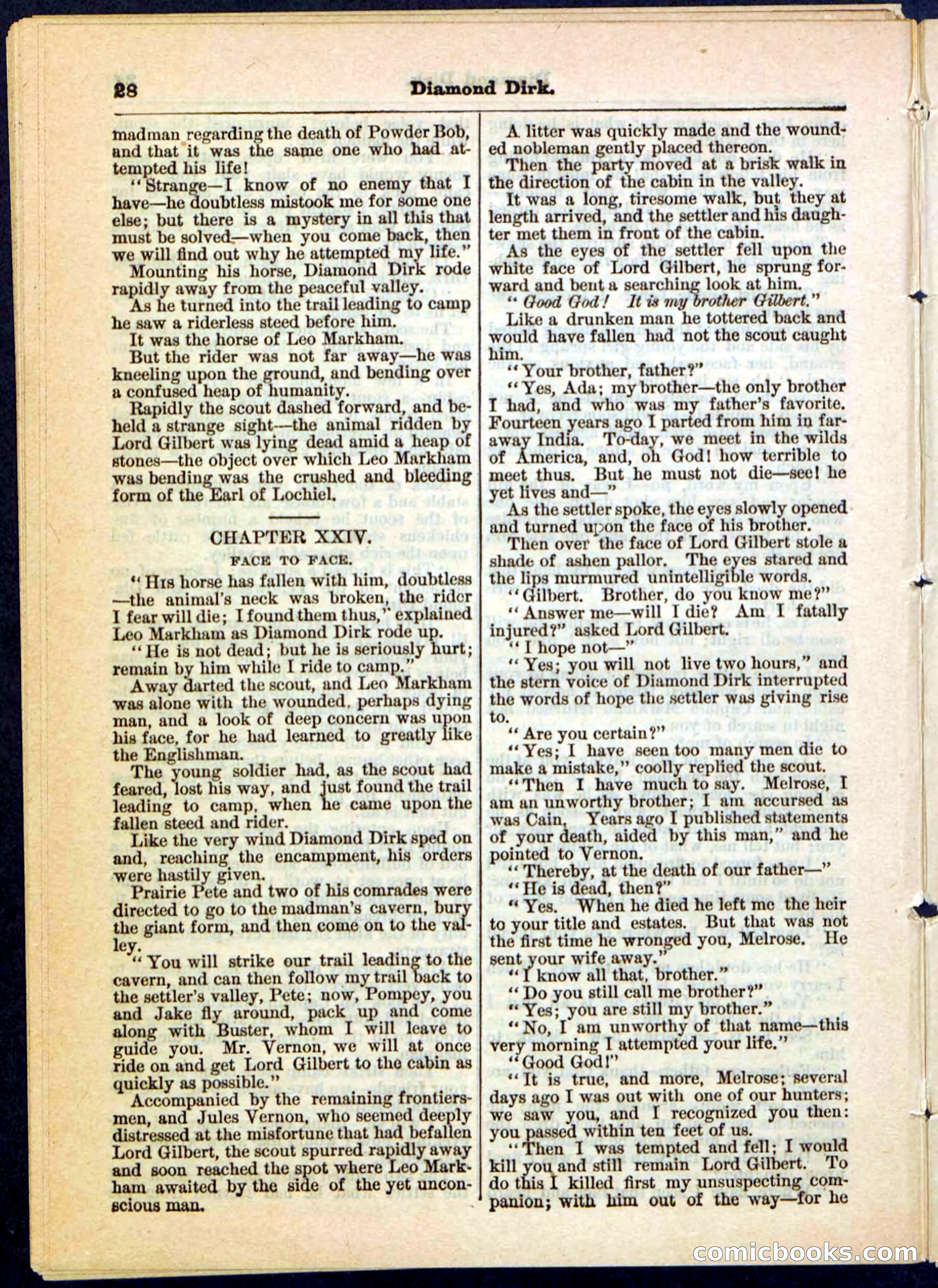 Beadle's Pocket Library No. 15 — page 28 of 32