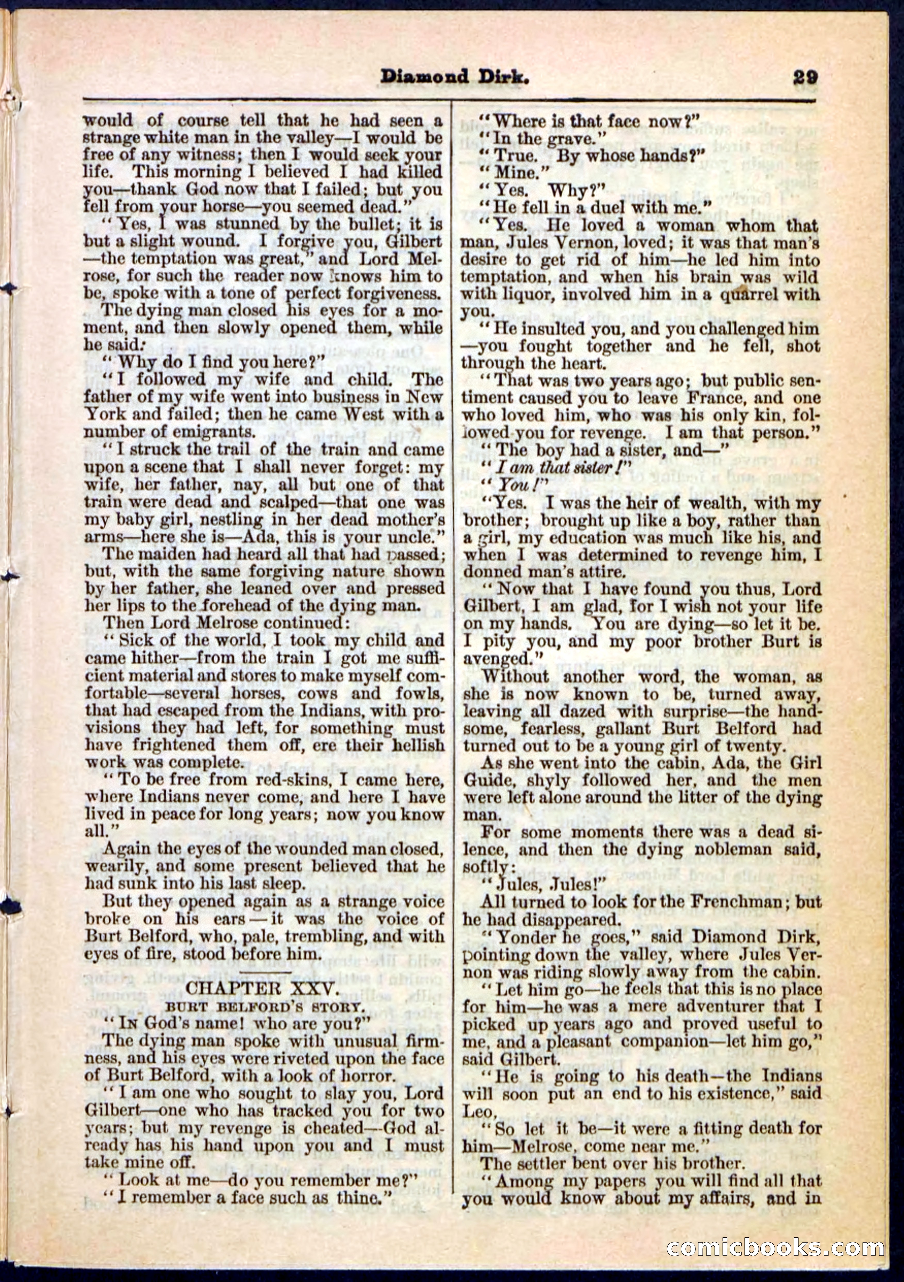 Beadle's Pocket Library No. 15 — page 29 of 32