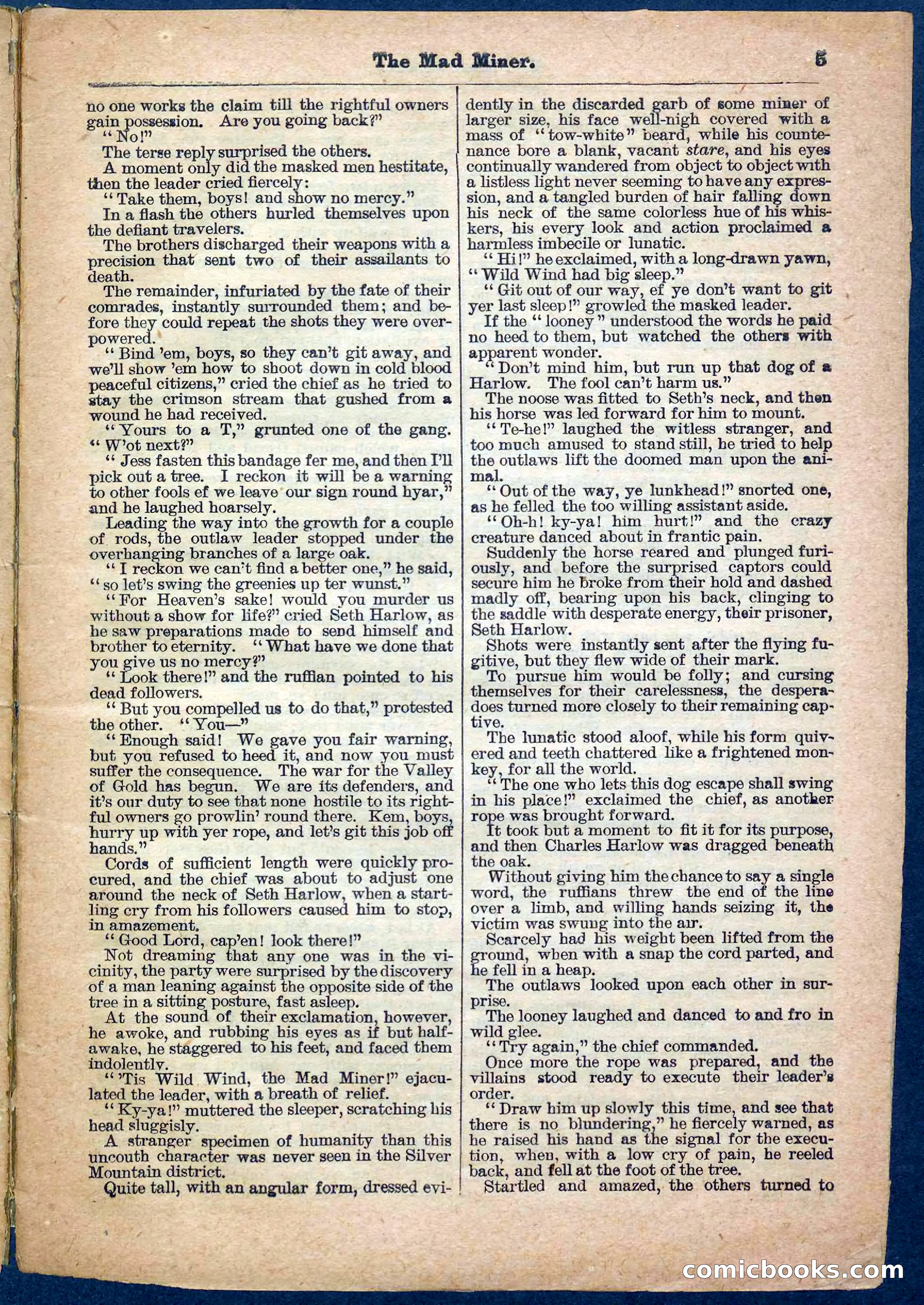 Beadle's Pocket Library, No. 150 — page 5 of 32