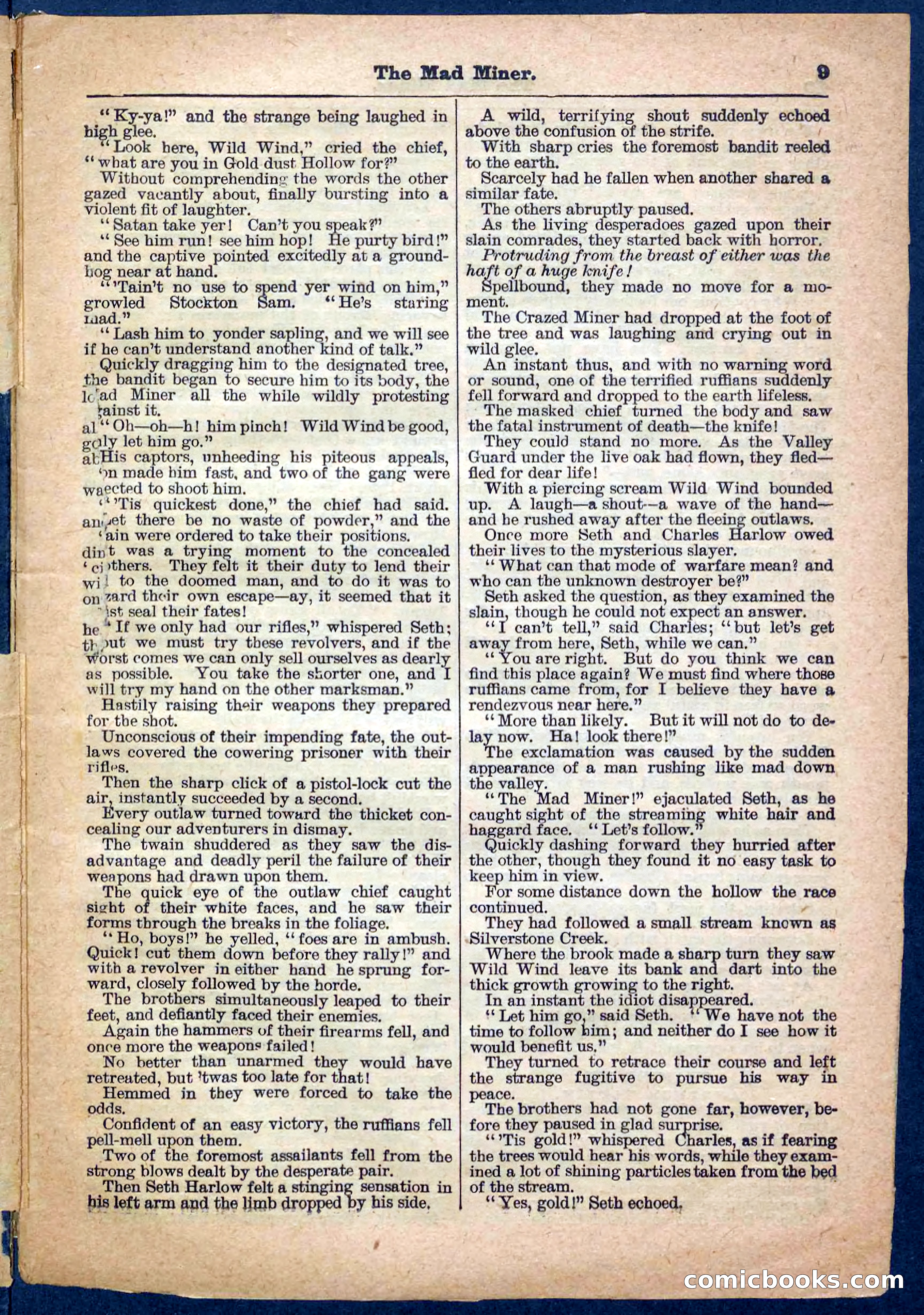 Beadle's Pocket Library, No. 150 — page 9 of 32