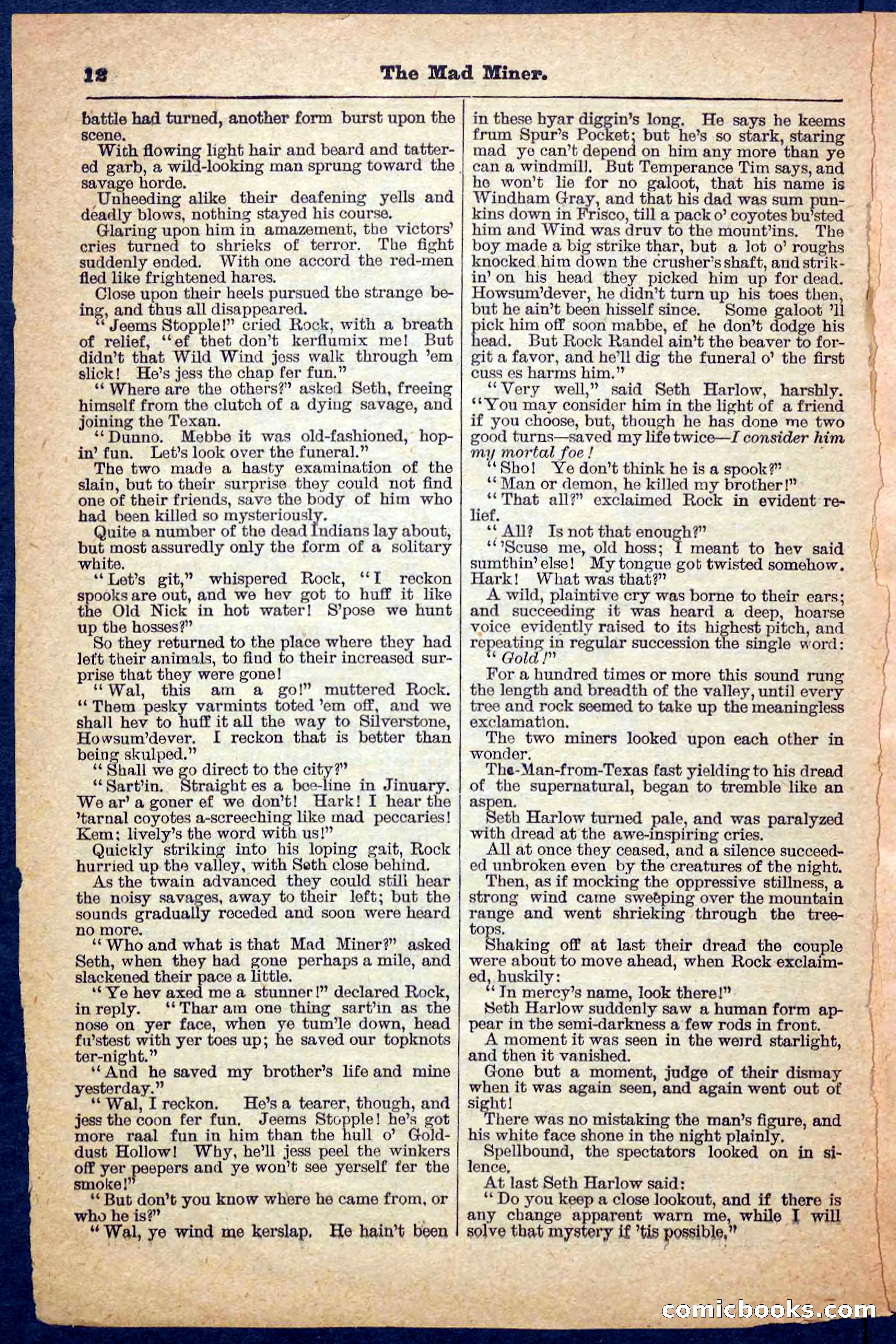 Beadle's Pocket Library, No. 150 — page 12 of 32