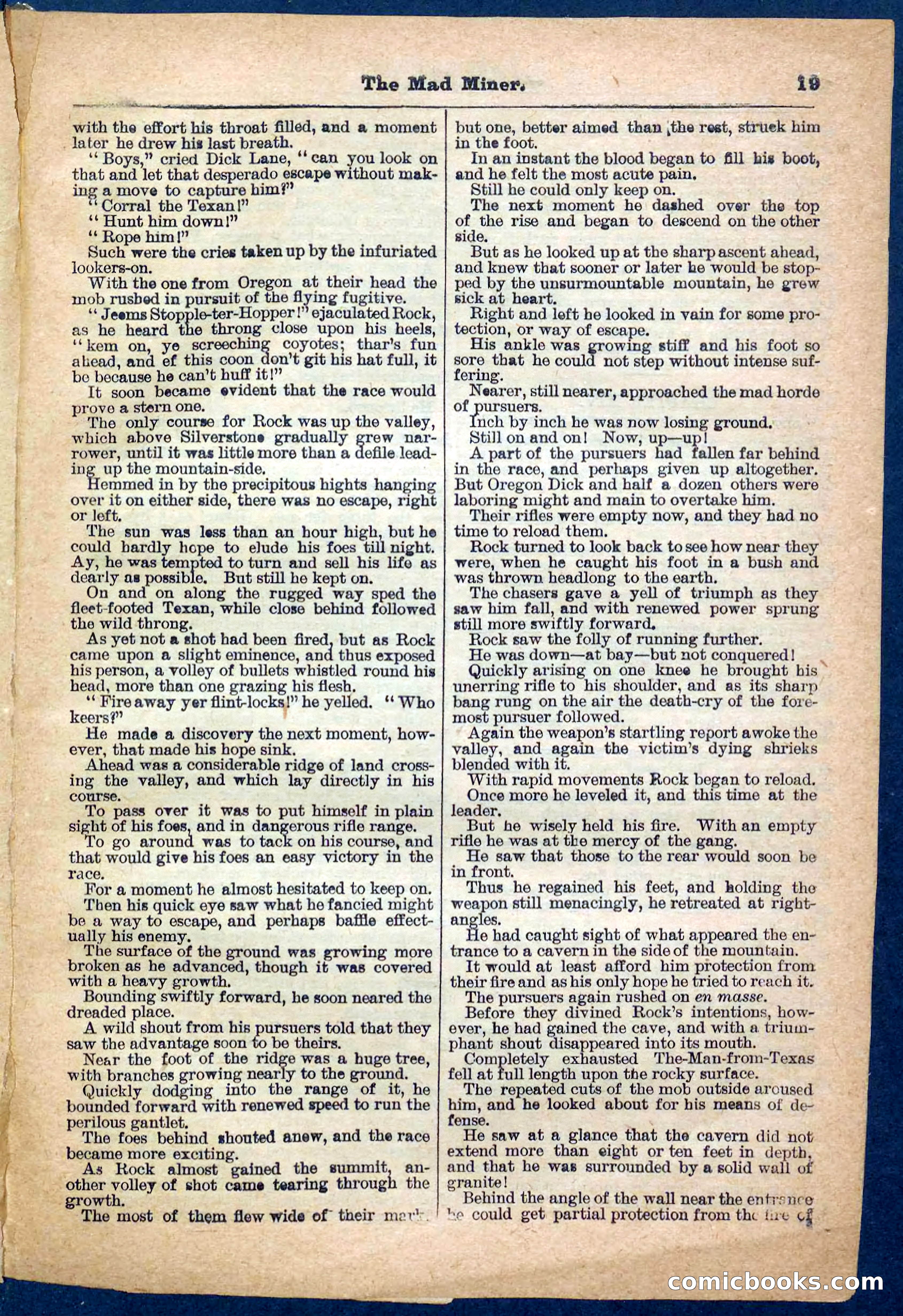 Beadle's Pocket Library, No. 150 — page 19 of 32