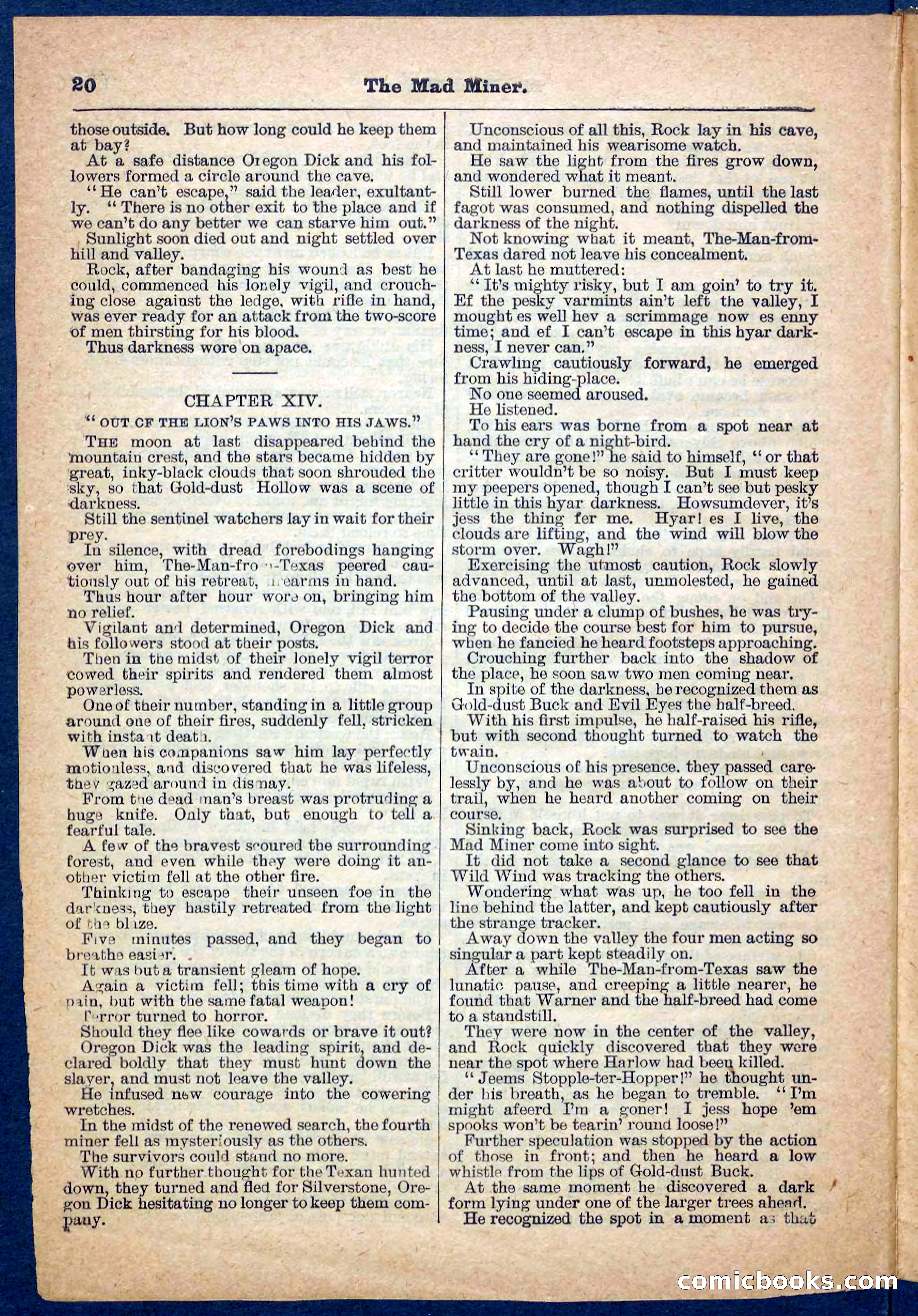 Beadle's Pocket Library, No. 150 — page 20 of 32