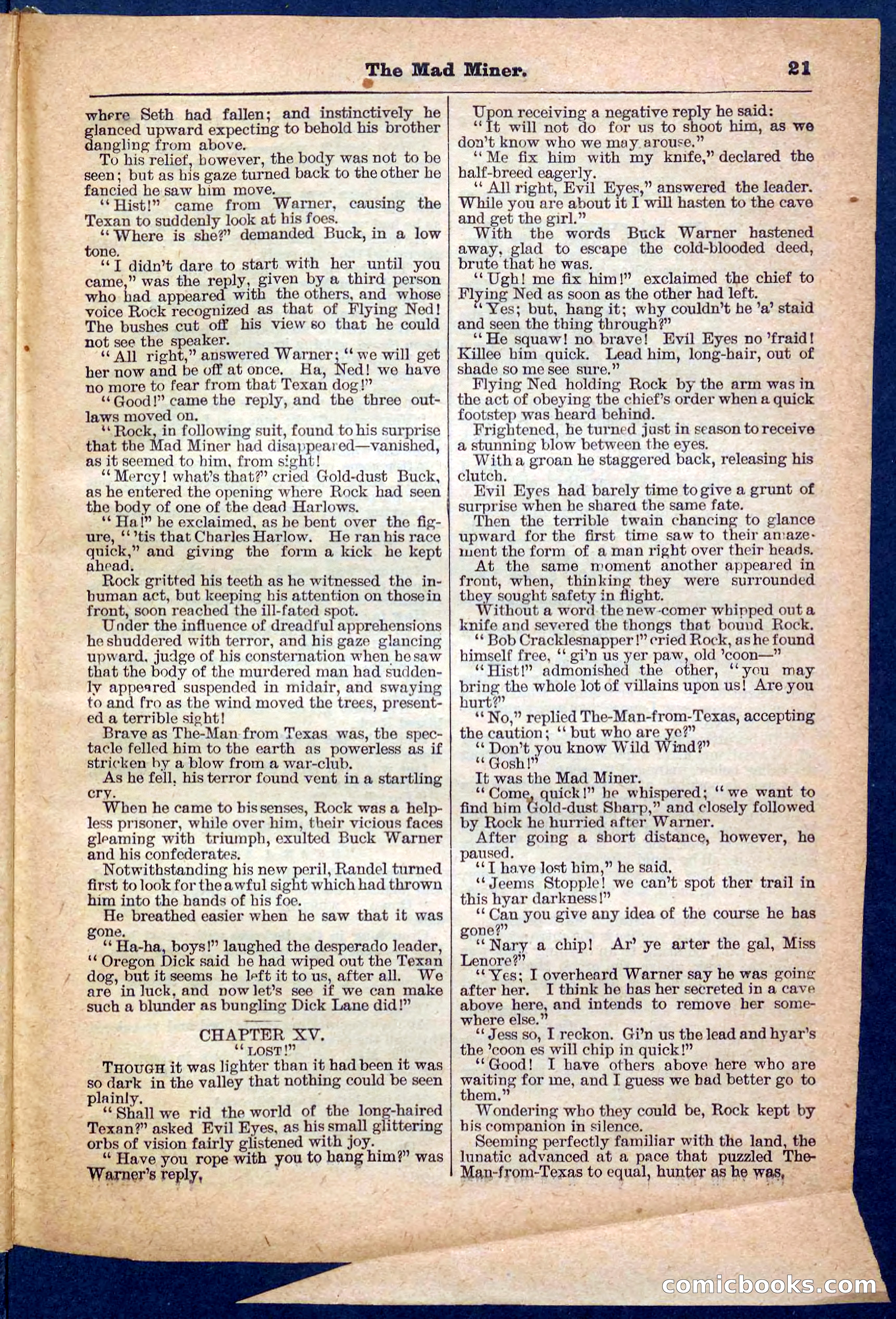 Beadle's Pocket Library, No. 150 — page 21 of 32