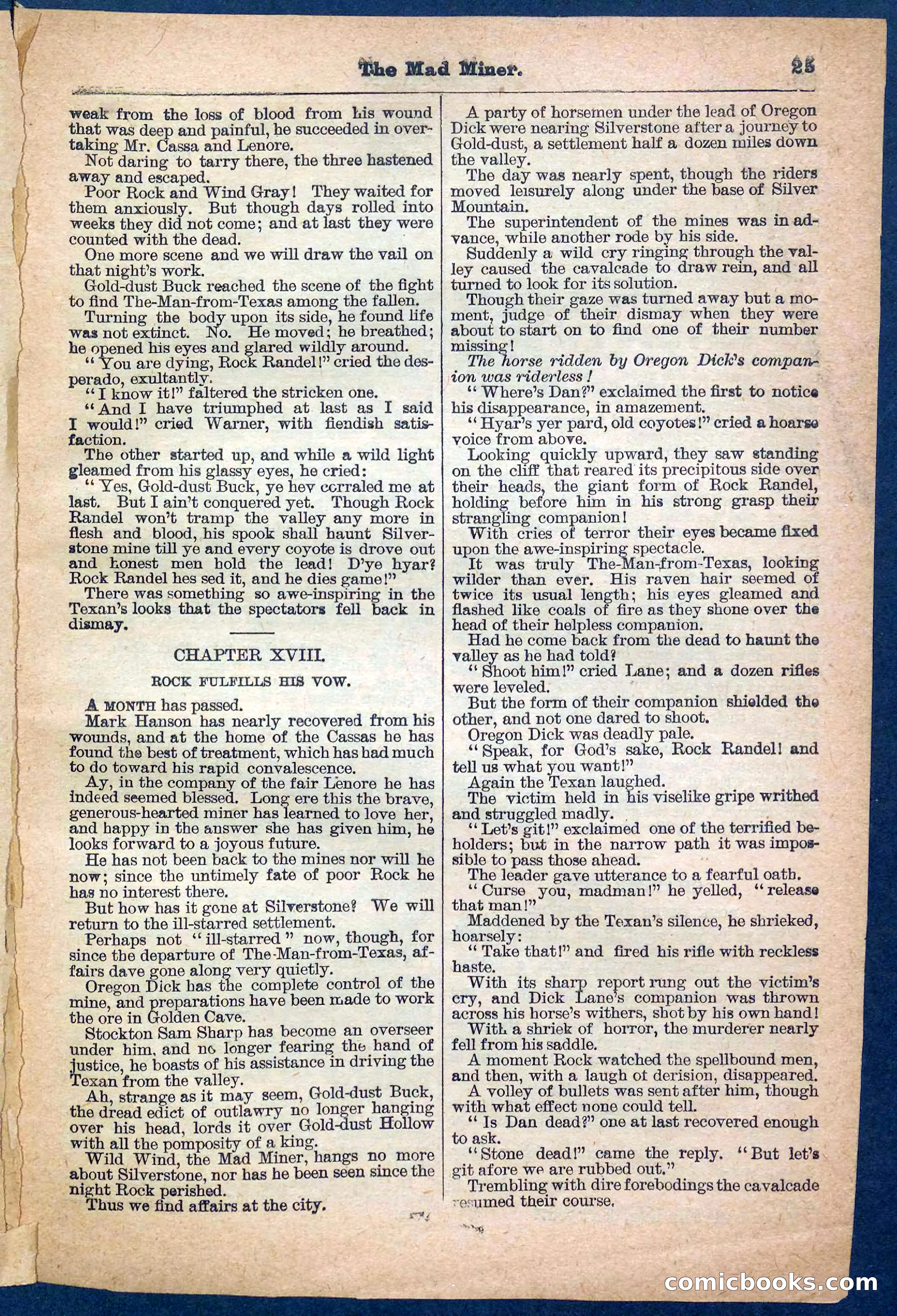Beadle's Pocket Library, No. 150 — page 25 of 32