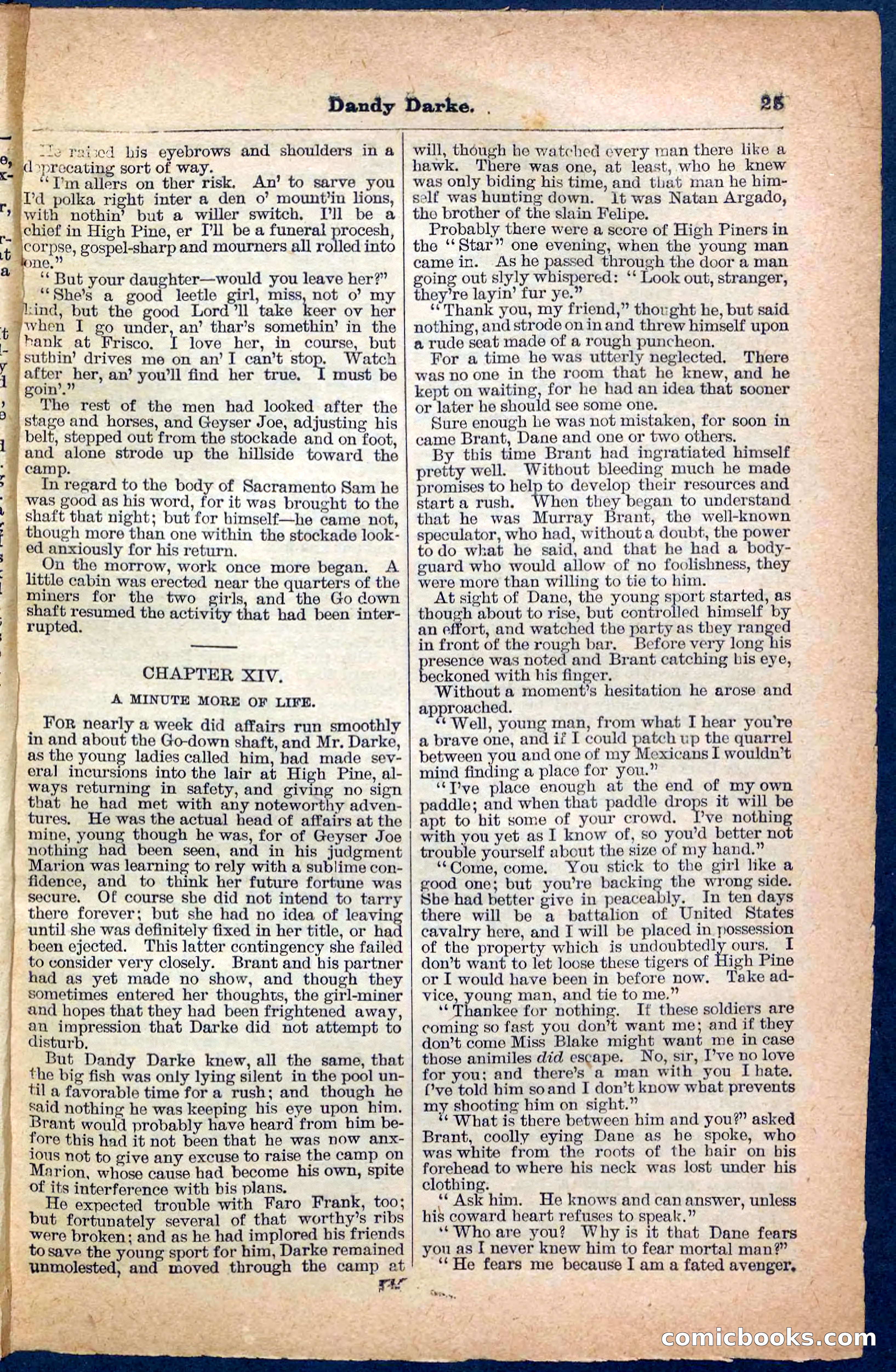 Beadle's Pocket Library No. 152 — page 25 of 32