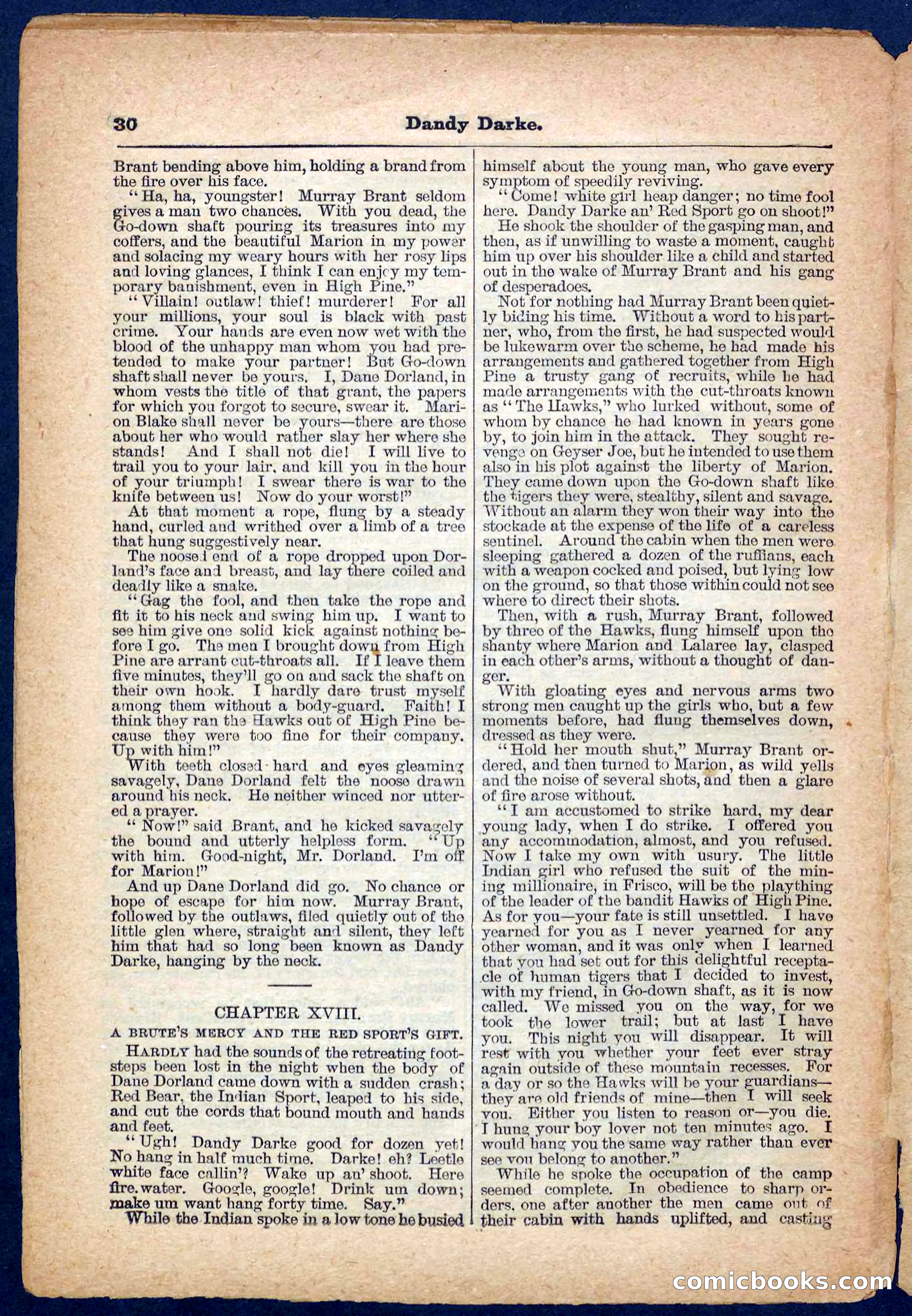 Beadle's Pocket Library No. 152 — page 30 of 32
