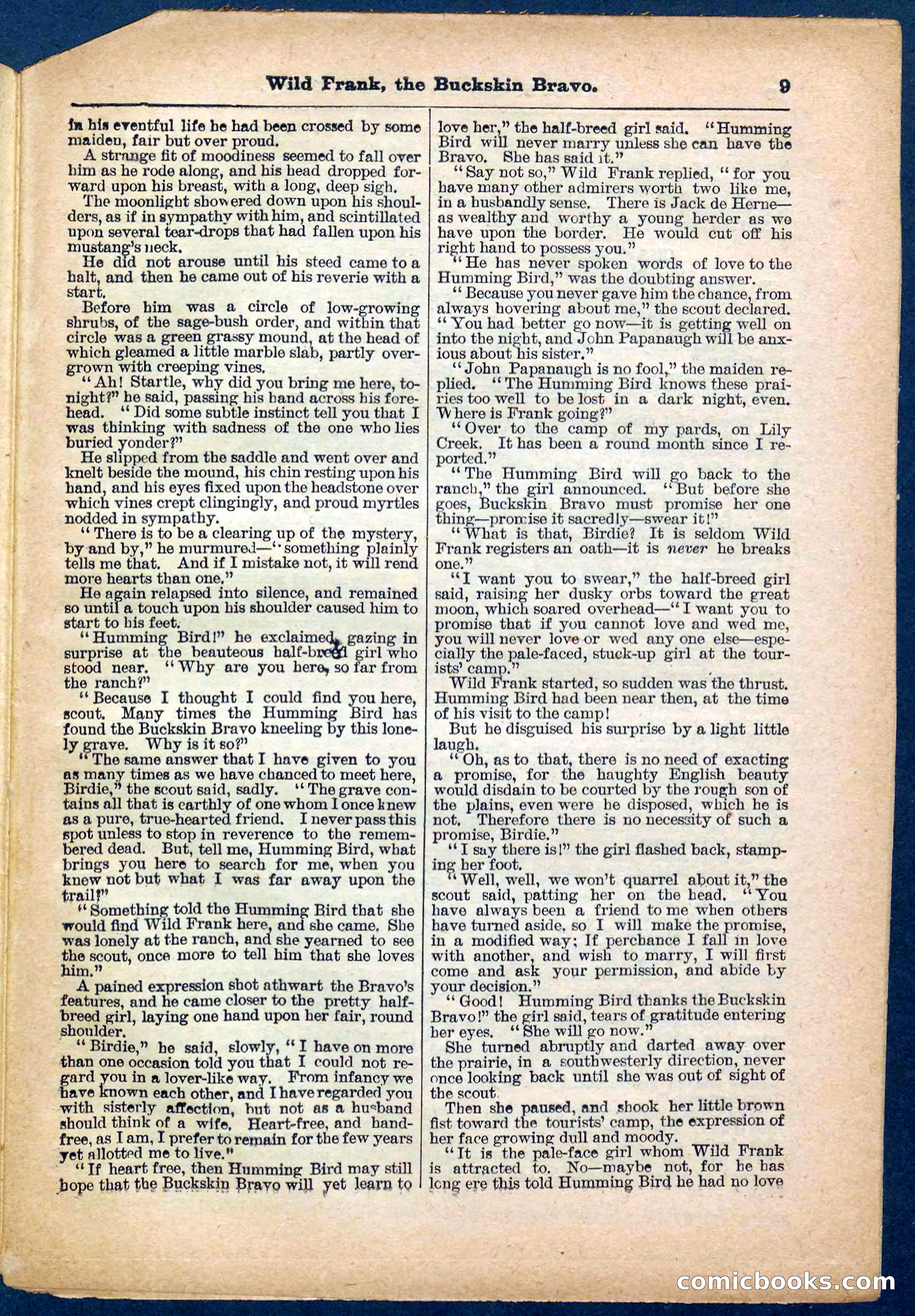 Beadle's Pocket Library No. 153 — page 9 of 32