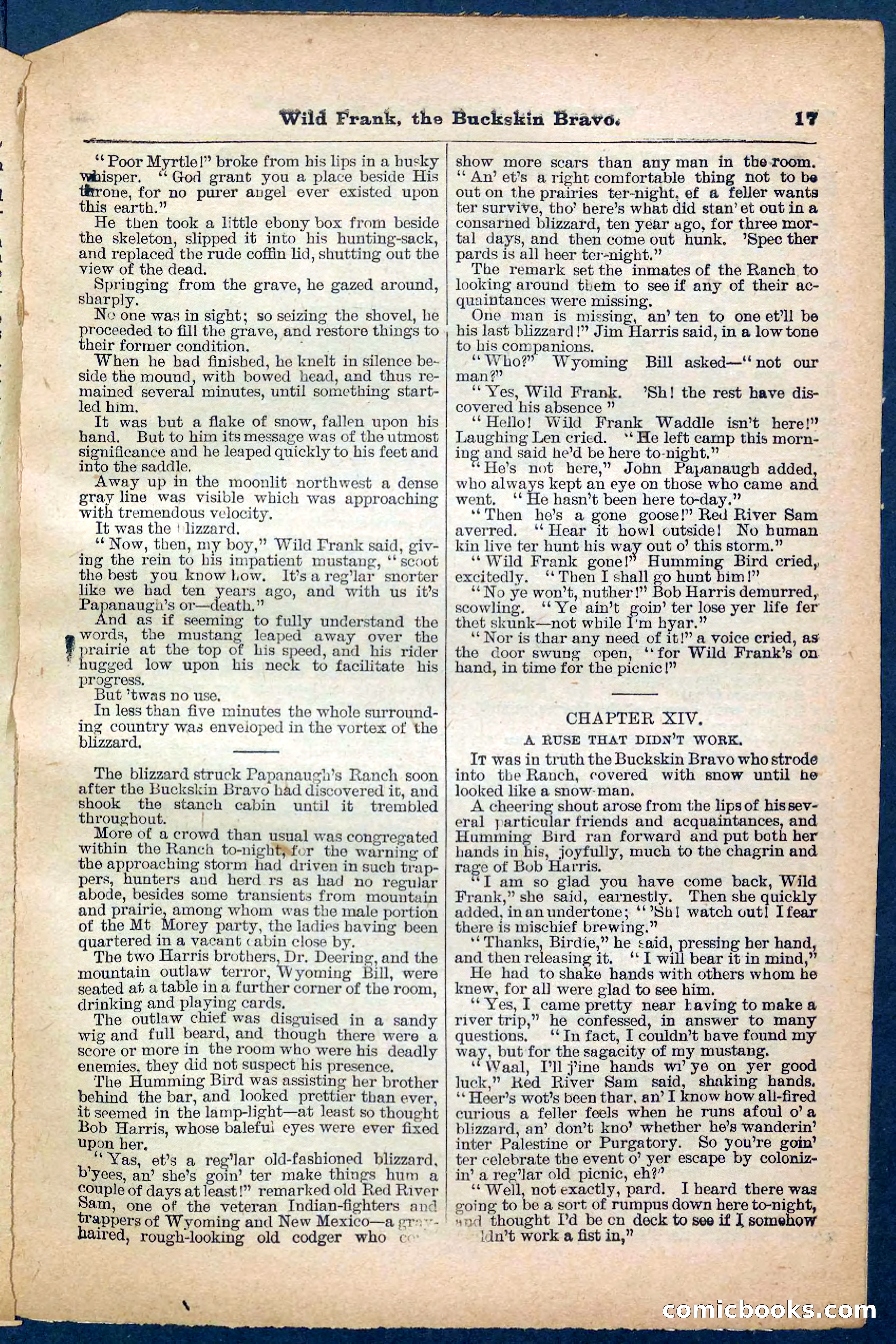 Beadle's Pocket Library No. 153 — page 17 of 32