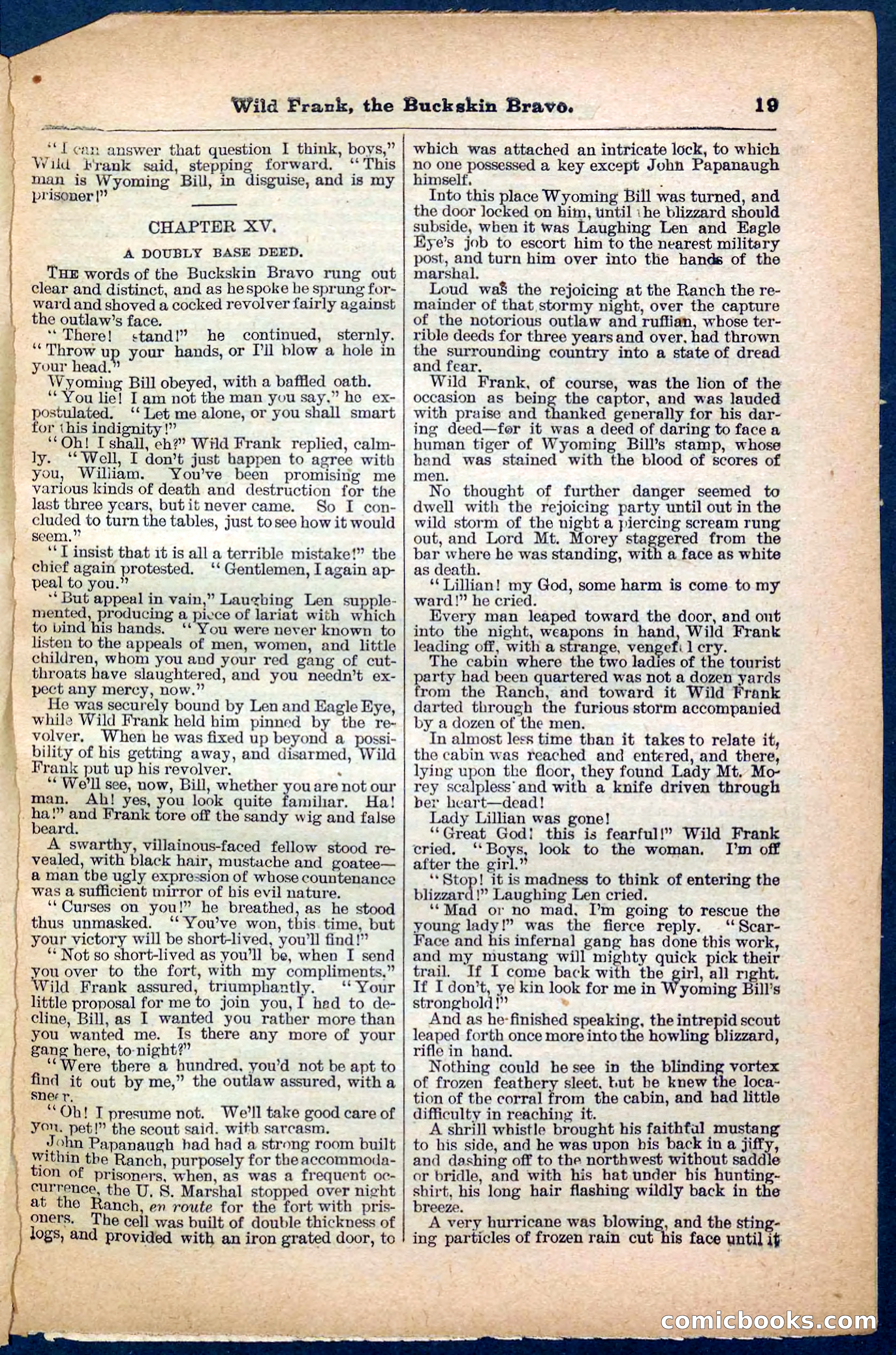 Beadle's Pocket Library No. 153 — page 19 of 32