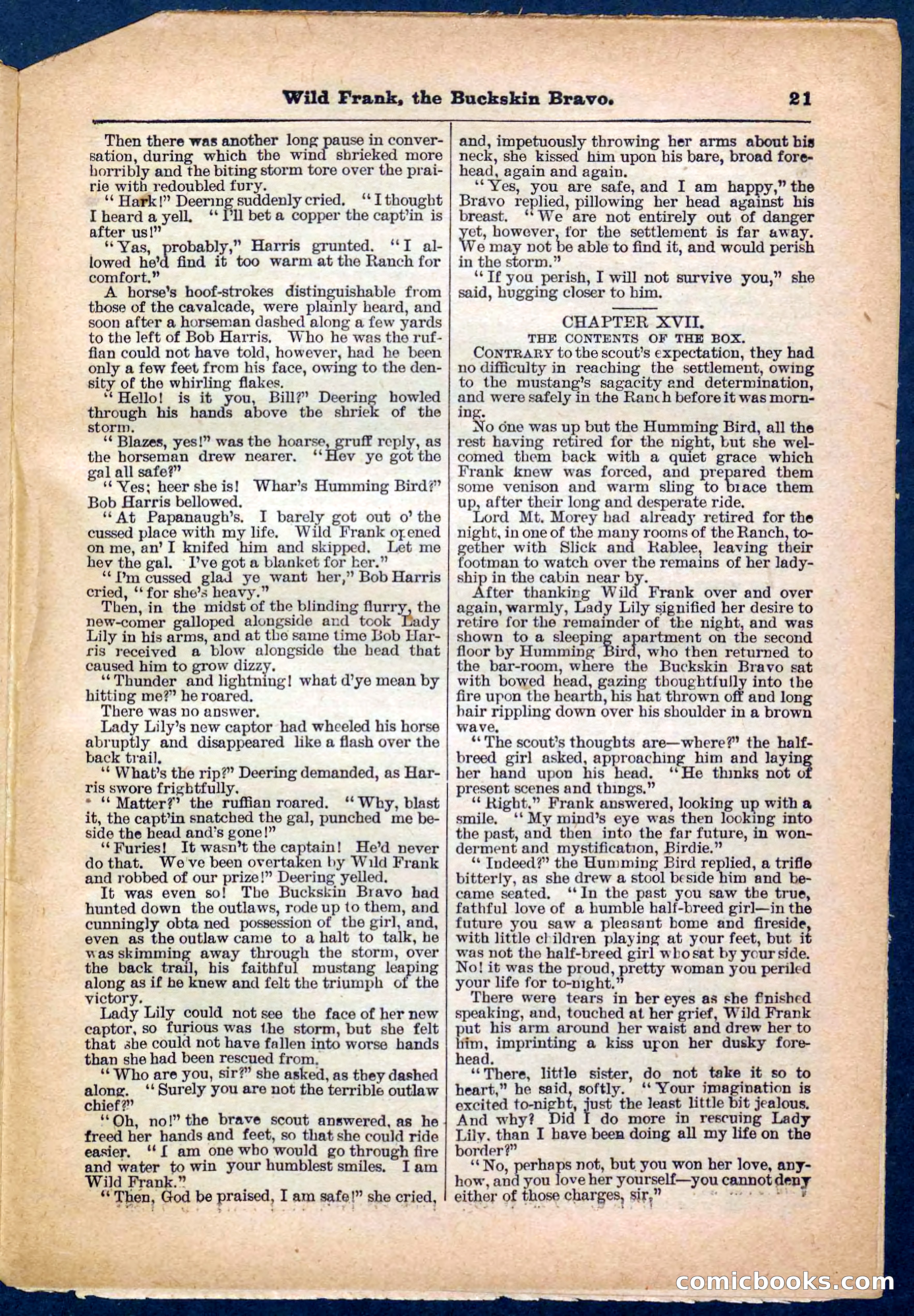 Beadle's Pocket Library No. 153 — page 21 of 32