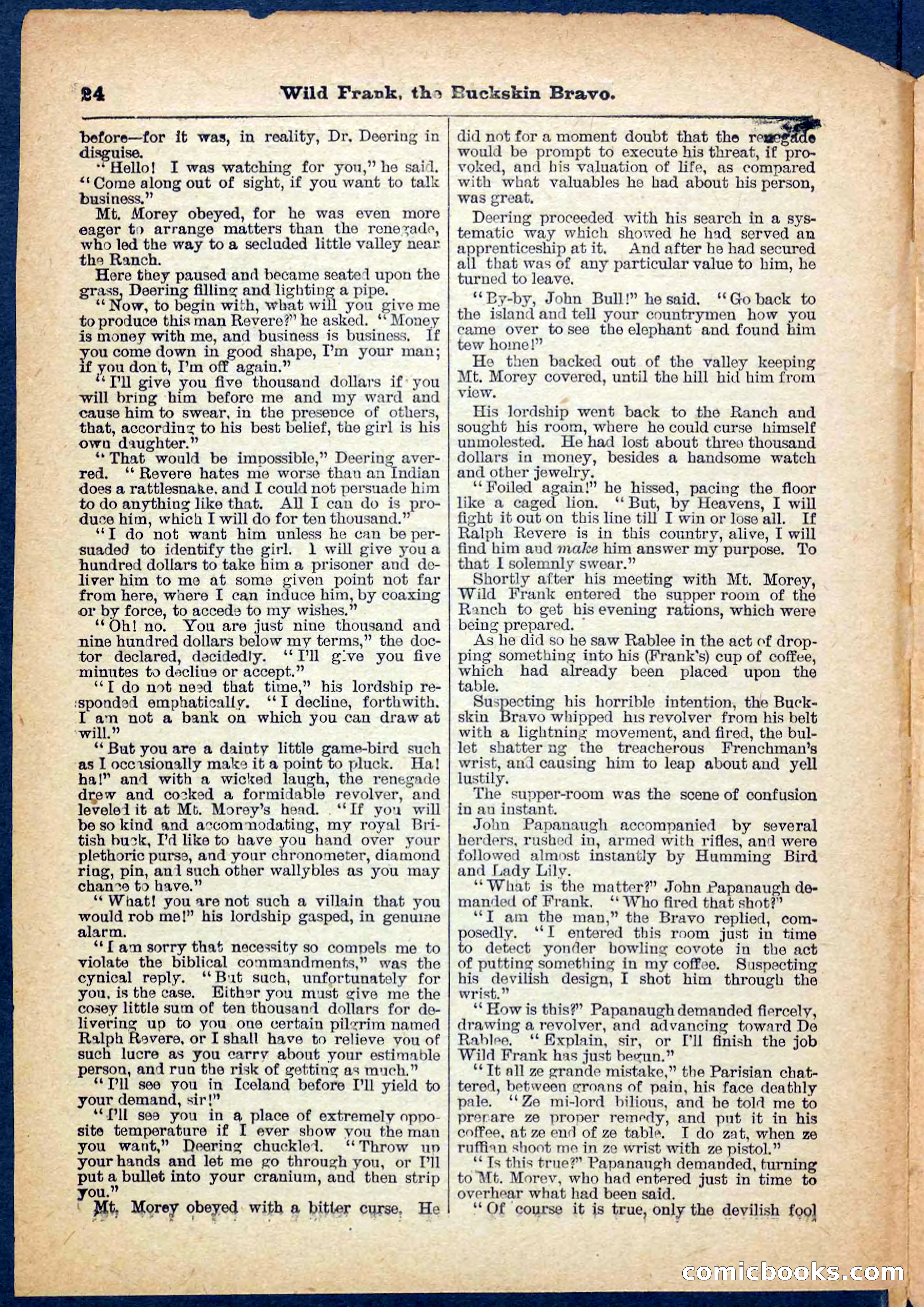 Beadle's Pocket Library No. 153 — page 24 of 32