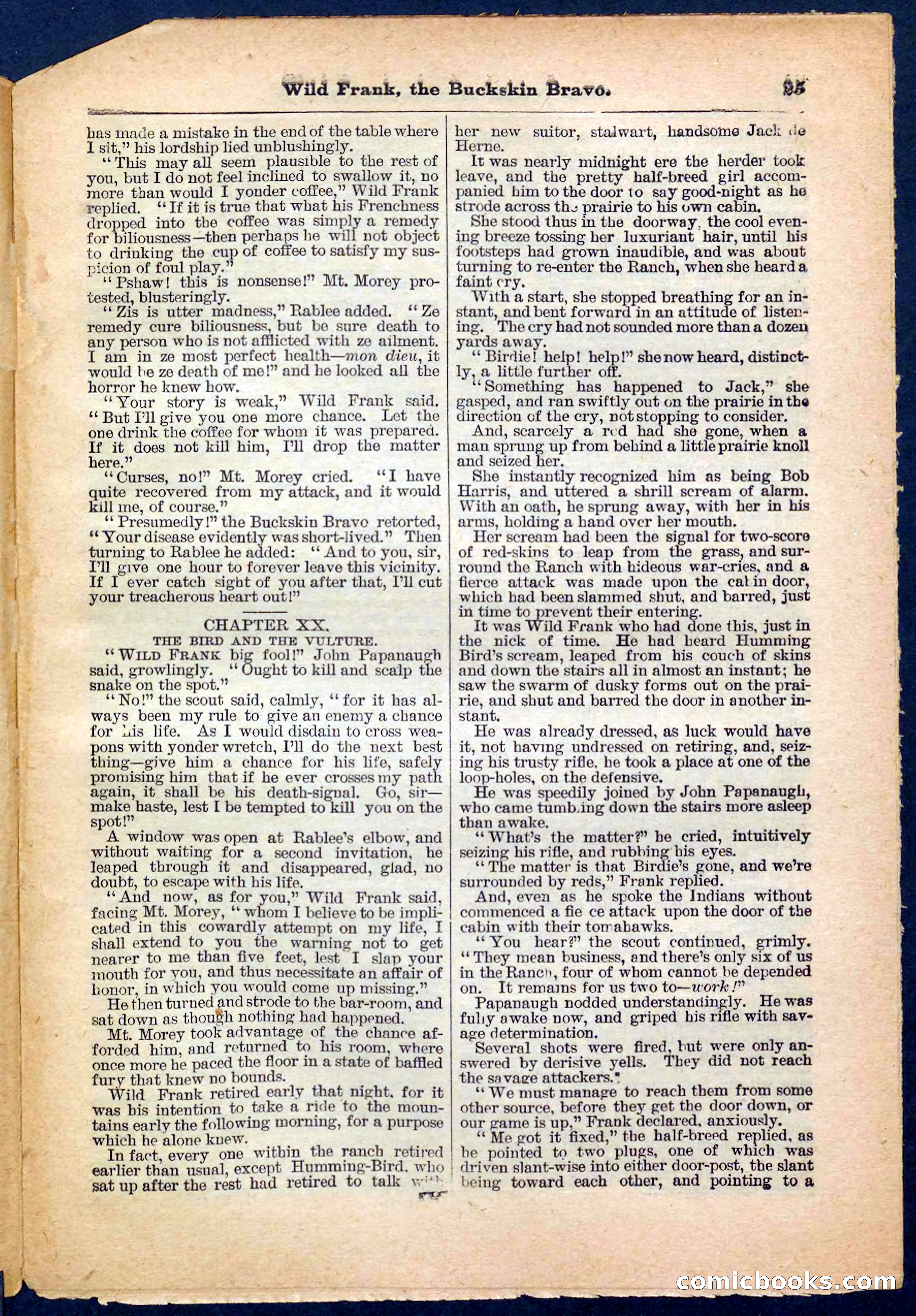 Beadle's Pocket Library No. 153 — page 25 of 32