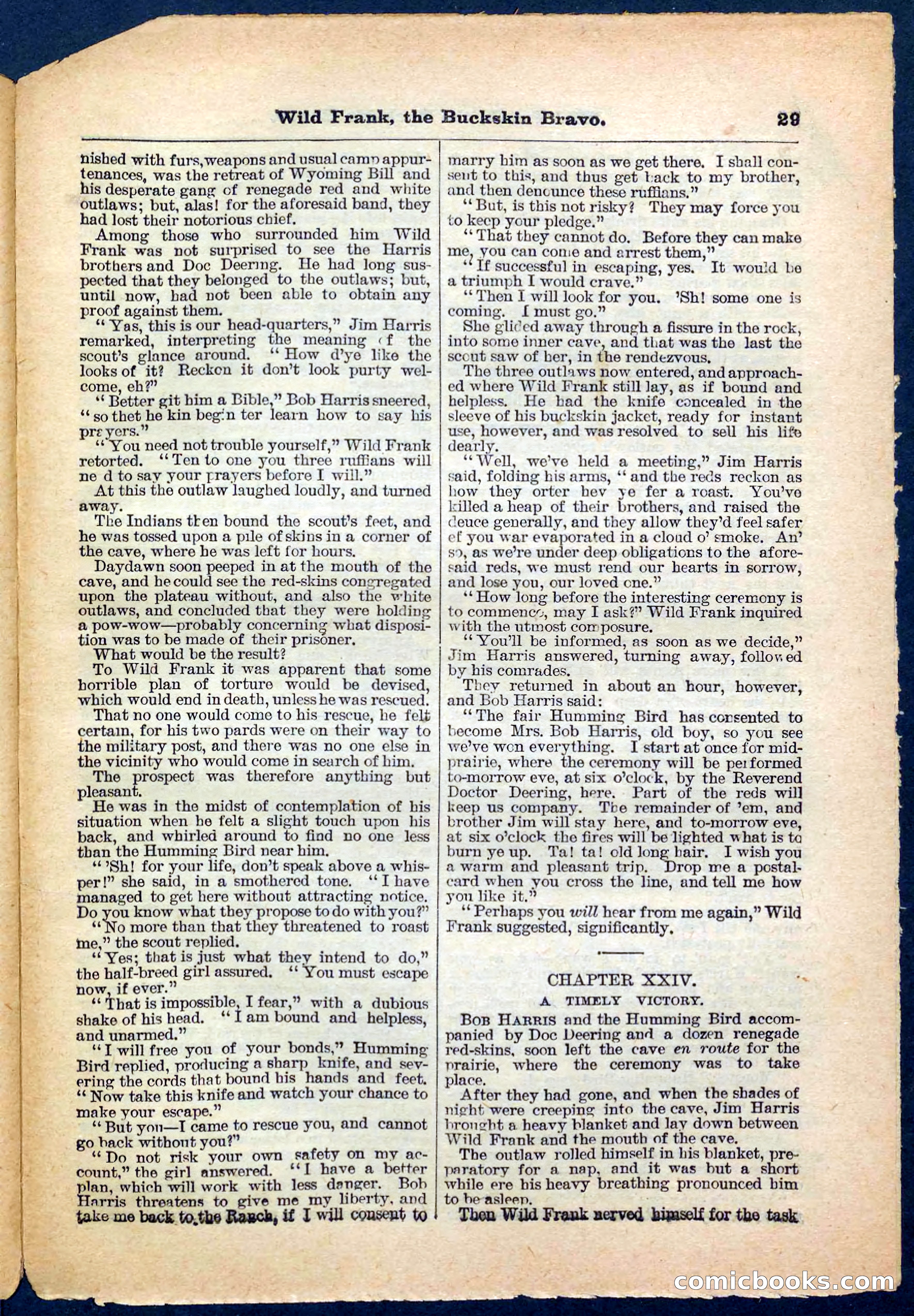 Beadle's Pocket Library No. 153 — page 29 of 32