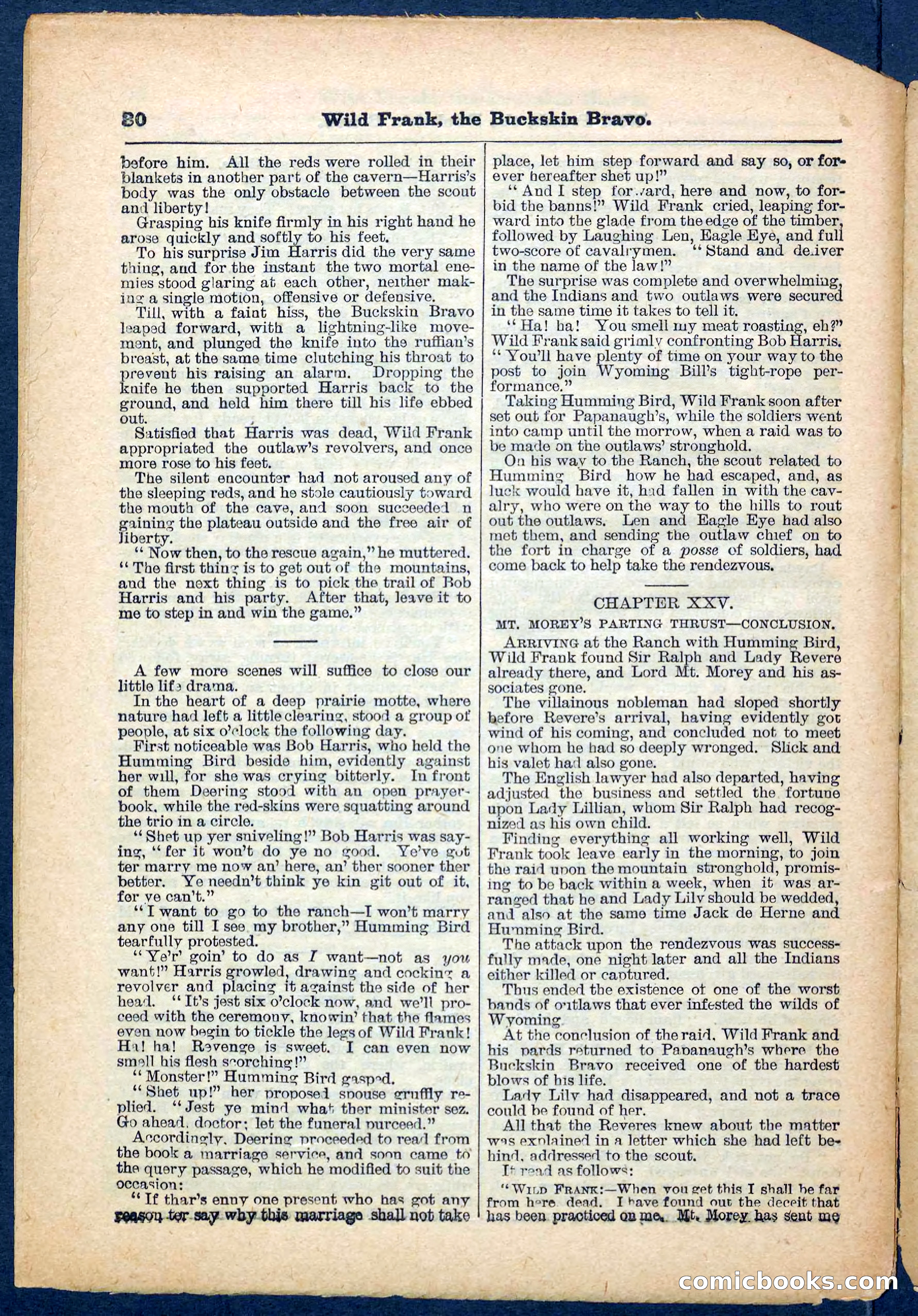 Beadle's Pocket Library No. 153 — page 30 of 32