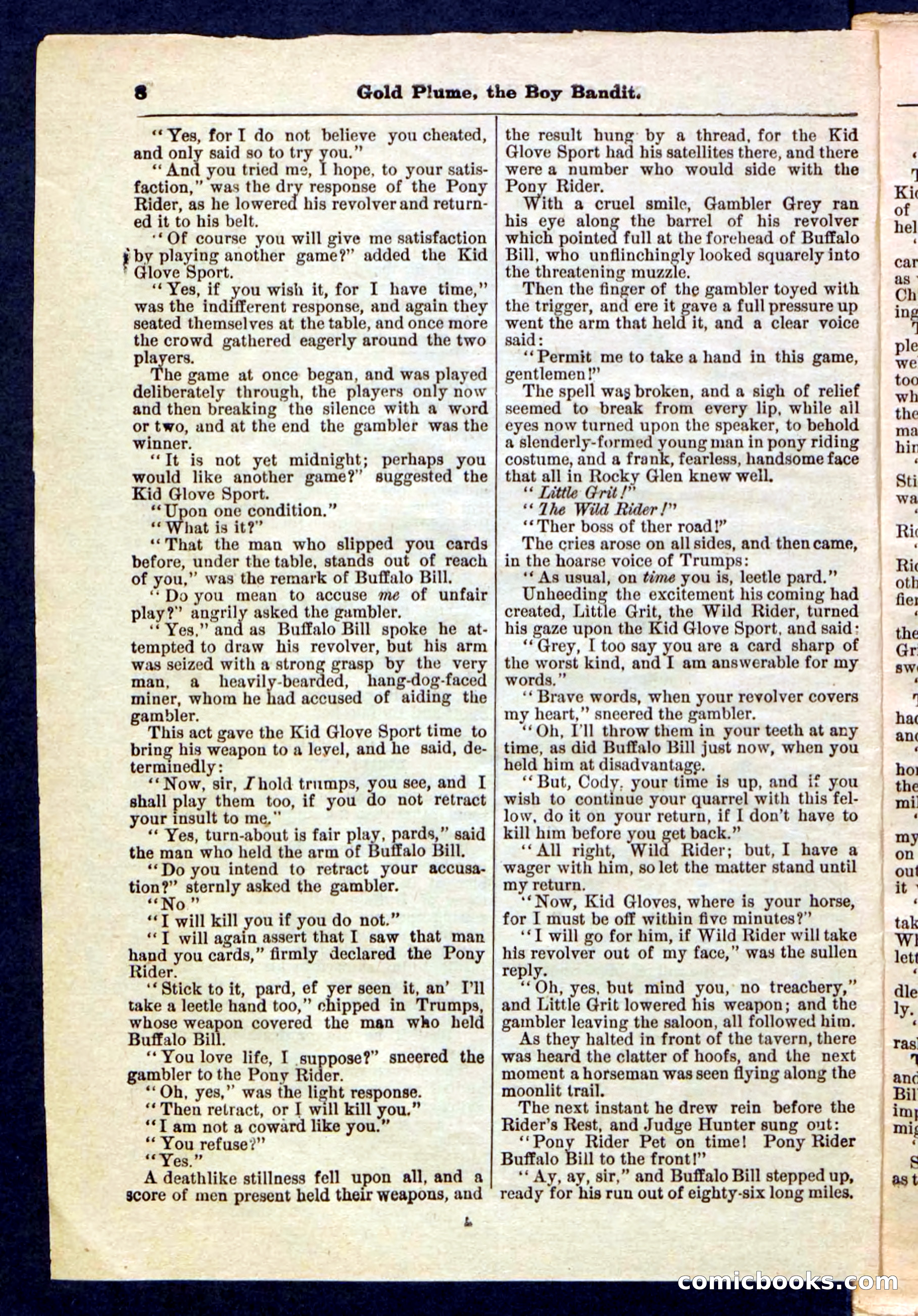 Beadle's Pocket Library No. 155 — page 8 of 32