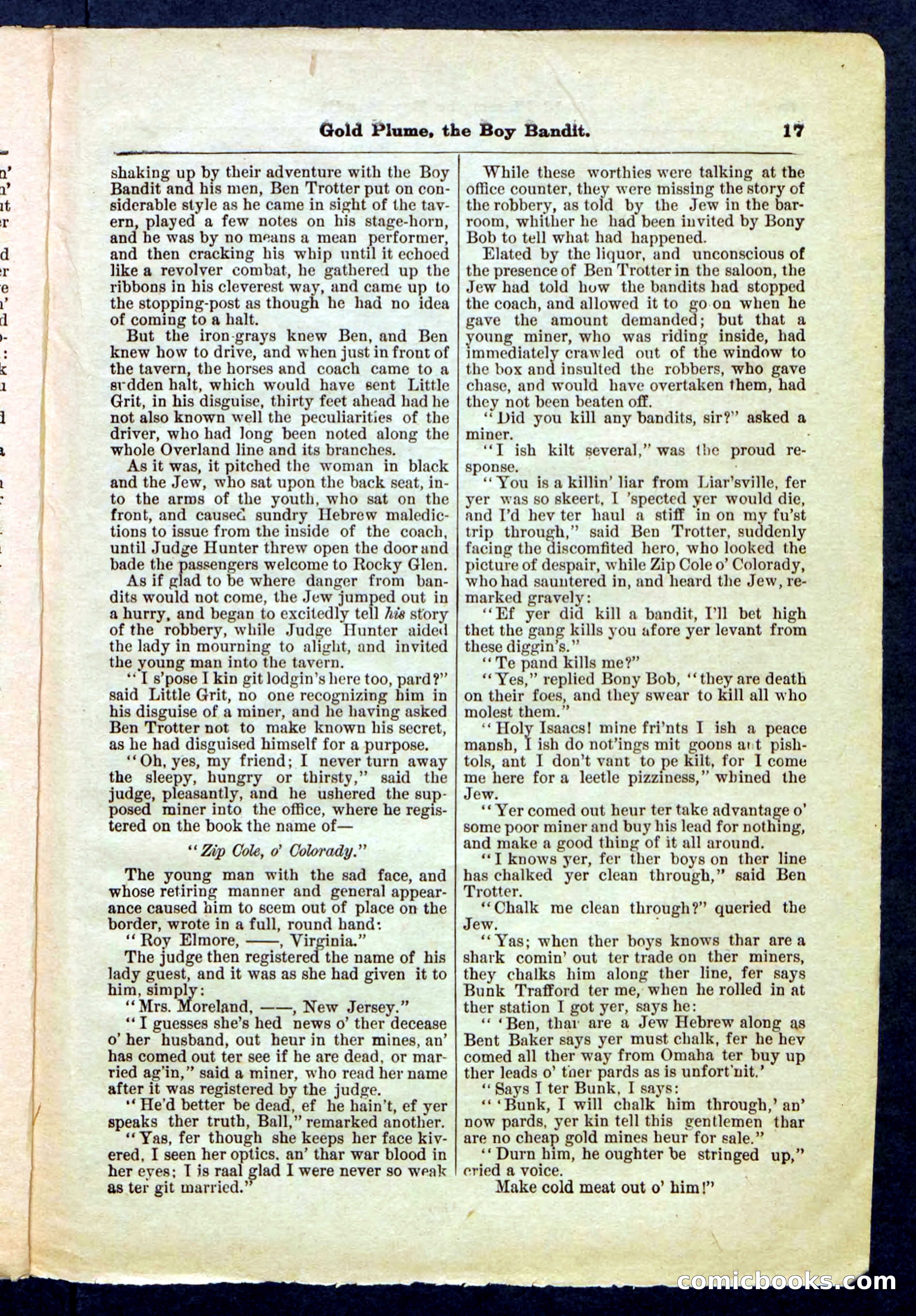 Beadle's Pocket Library No. 155 — page 17 of 32