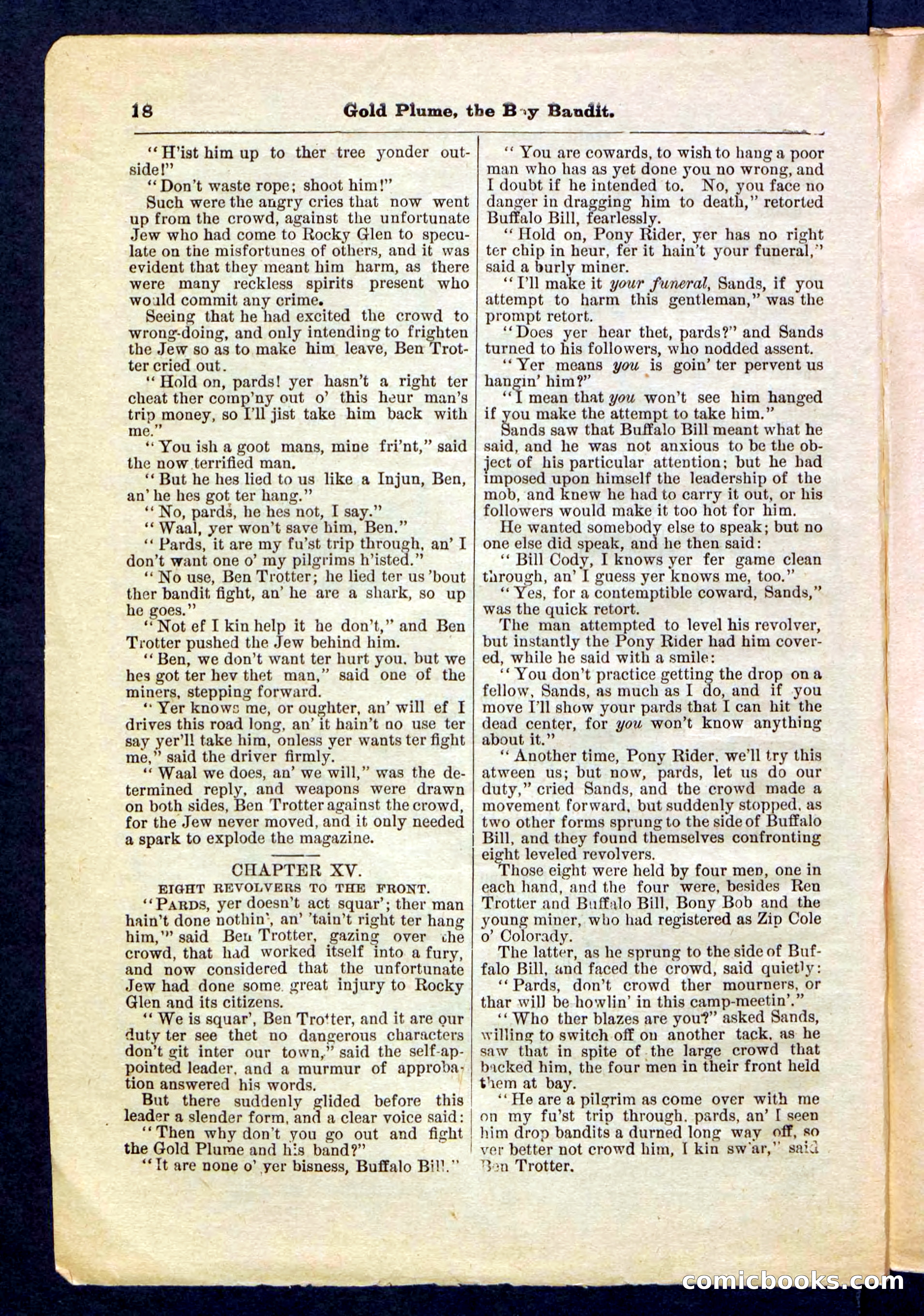 Beadle's Pocket Library No. 155 — page 18 of 32