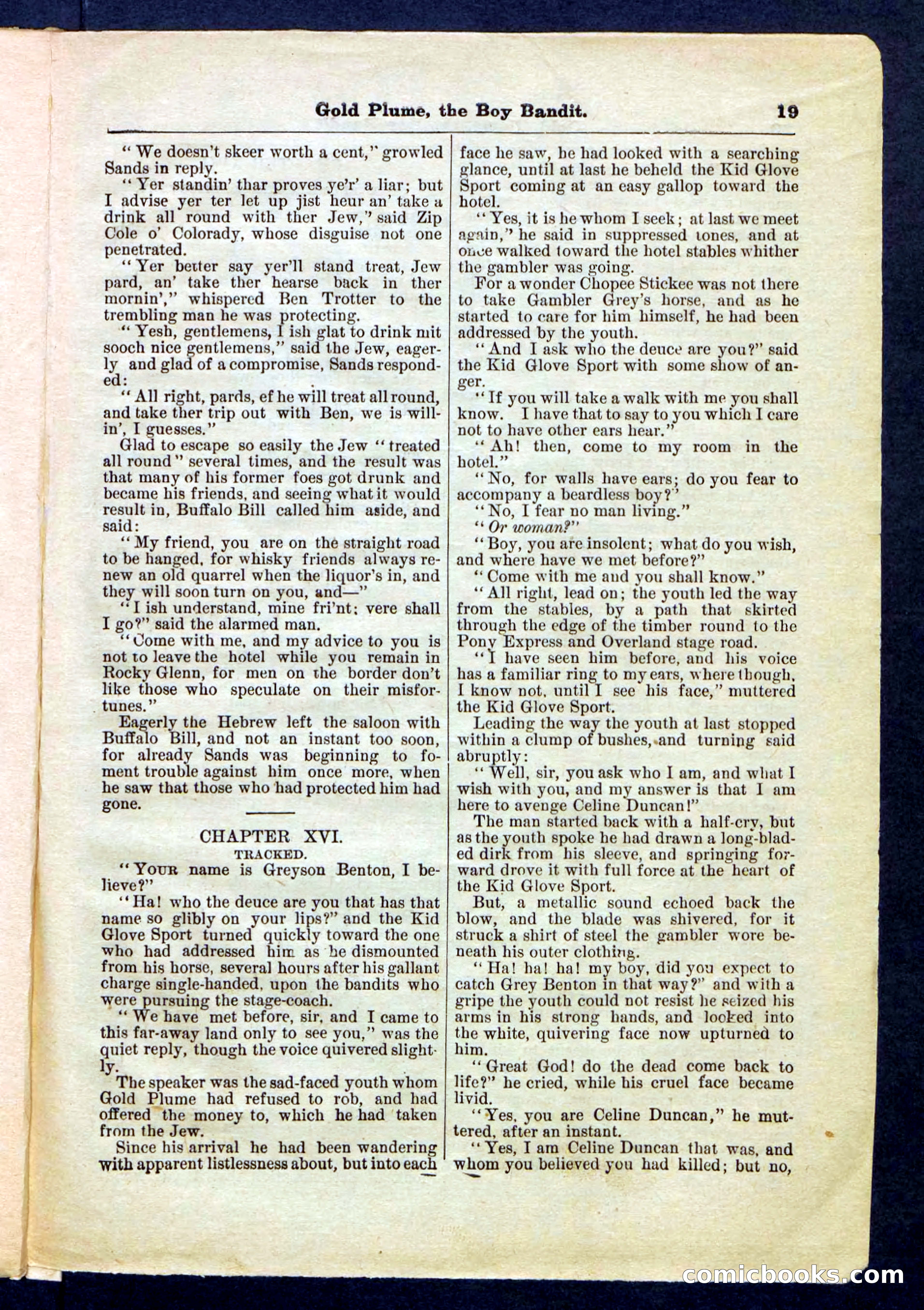 Beadle's Pocket Library No. 155 — page 19 of 32