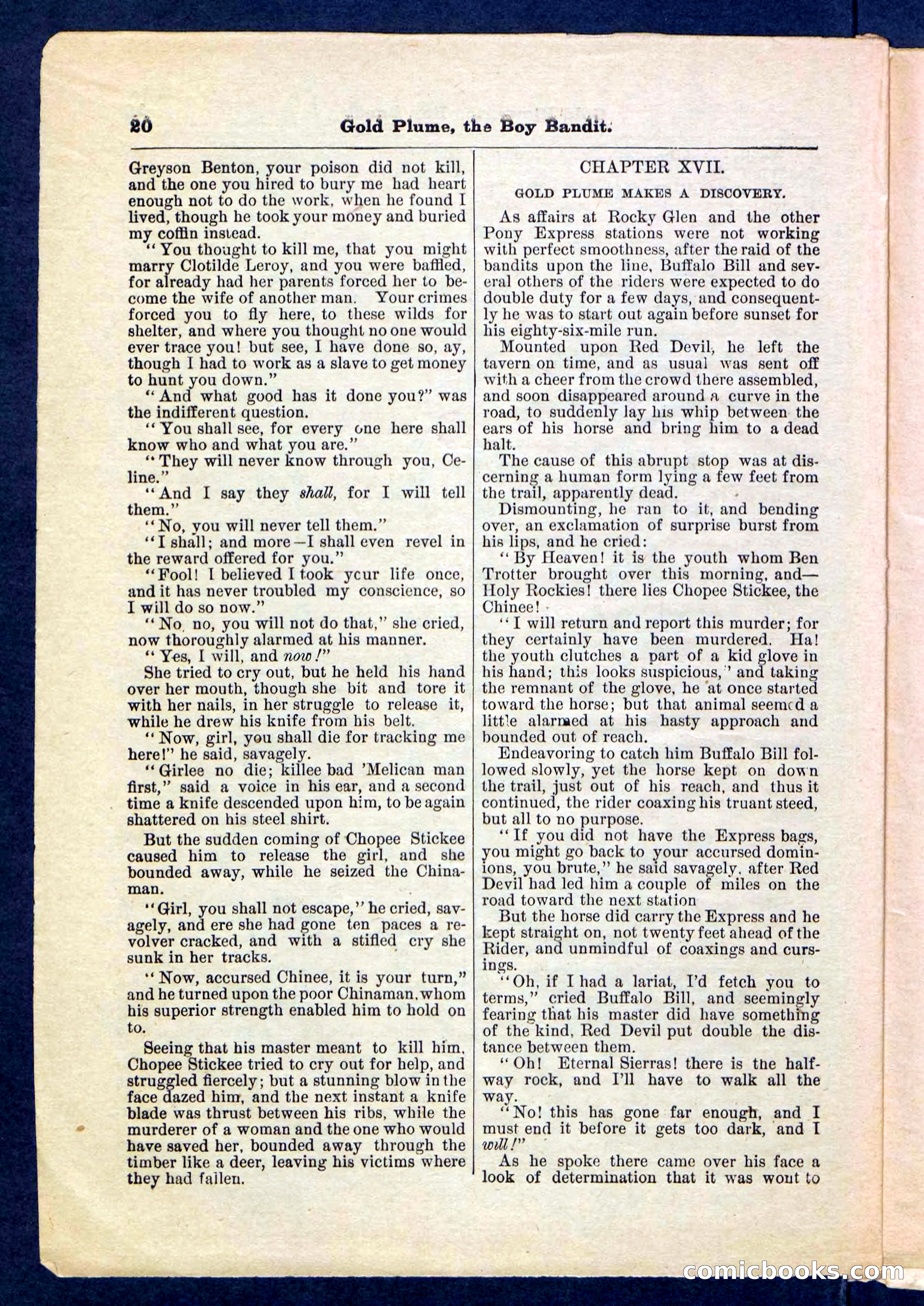 Beadle's Pocket Library No. 155 — page 20 of 32