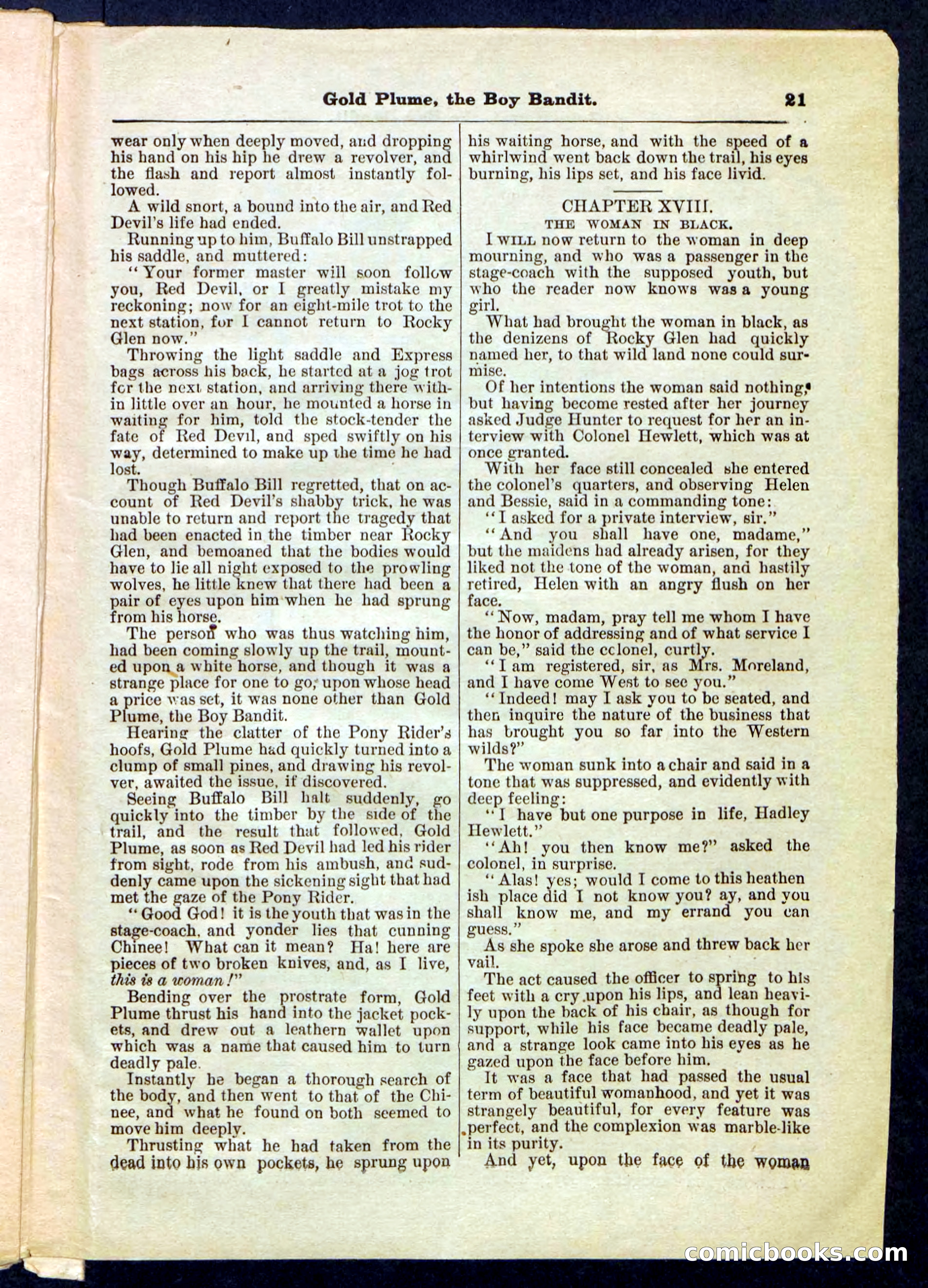 Beadle's Pocket Library No. 155 — page 21 of 32