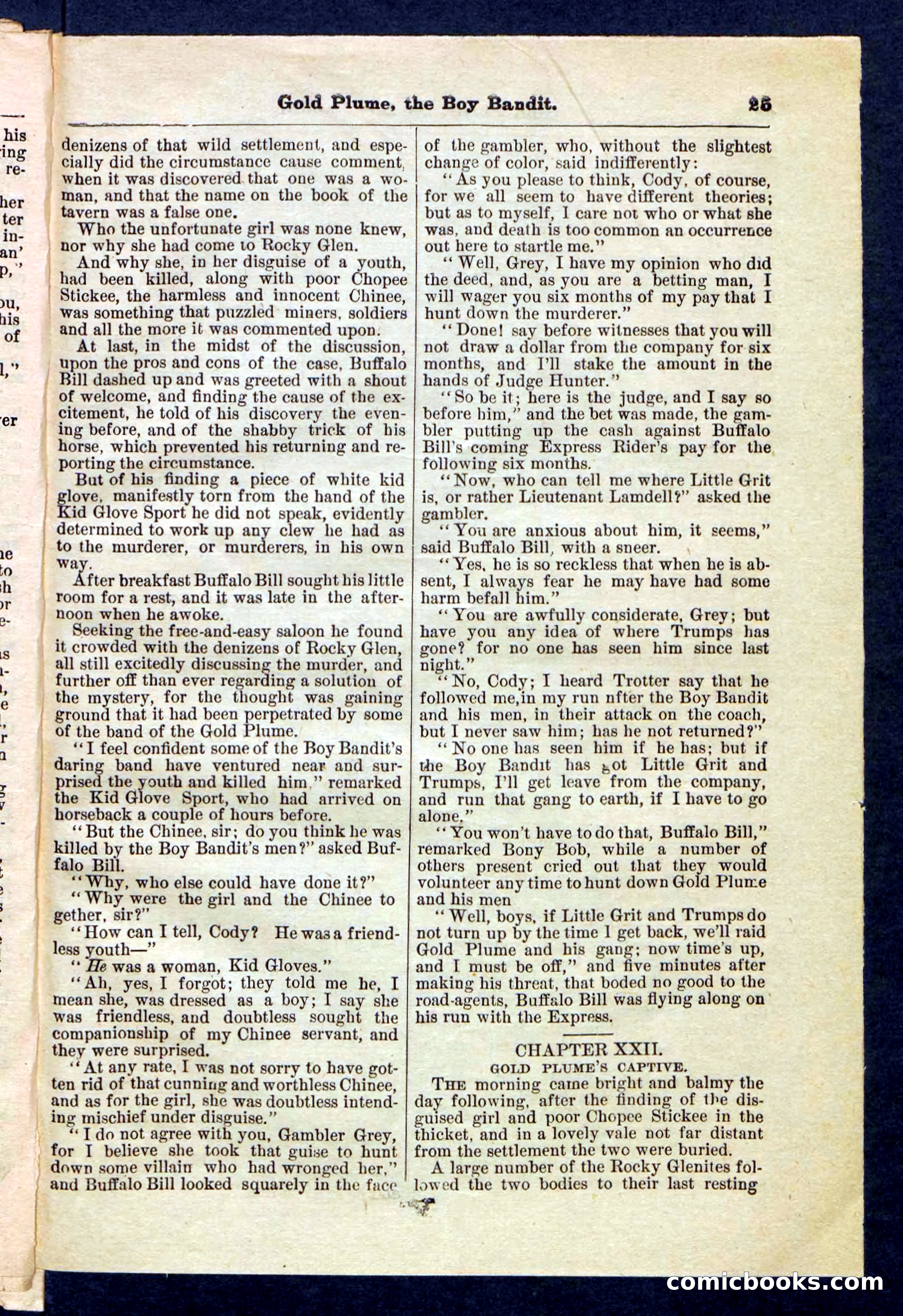 Beadle's Pocket Library No. 155 — page 25 of 32