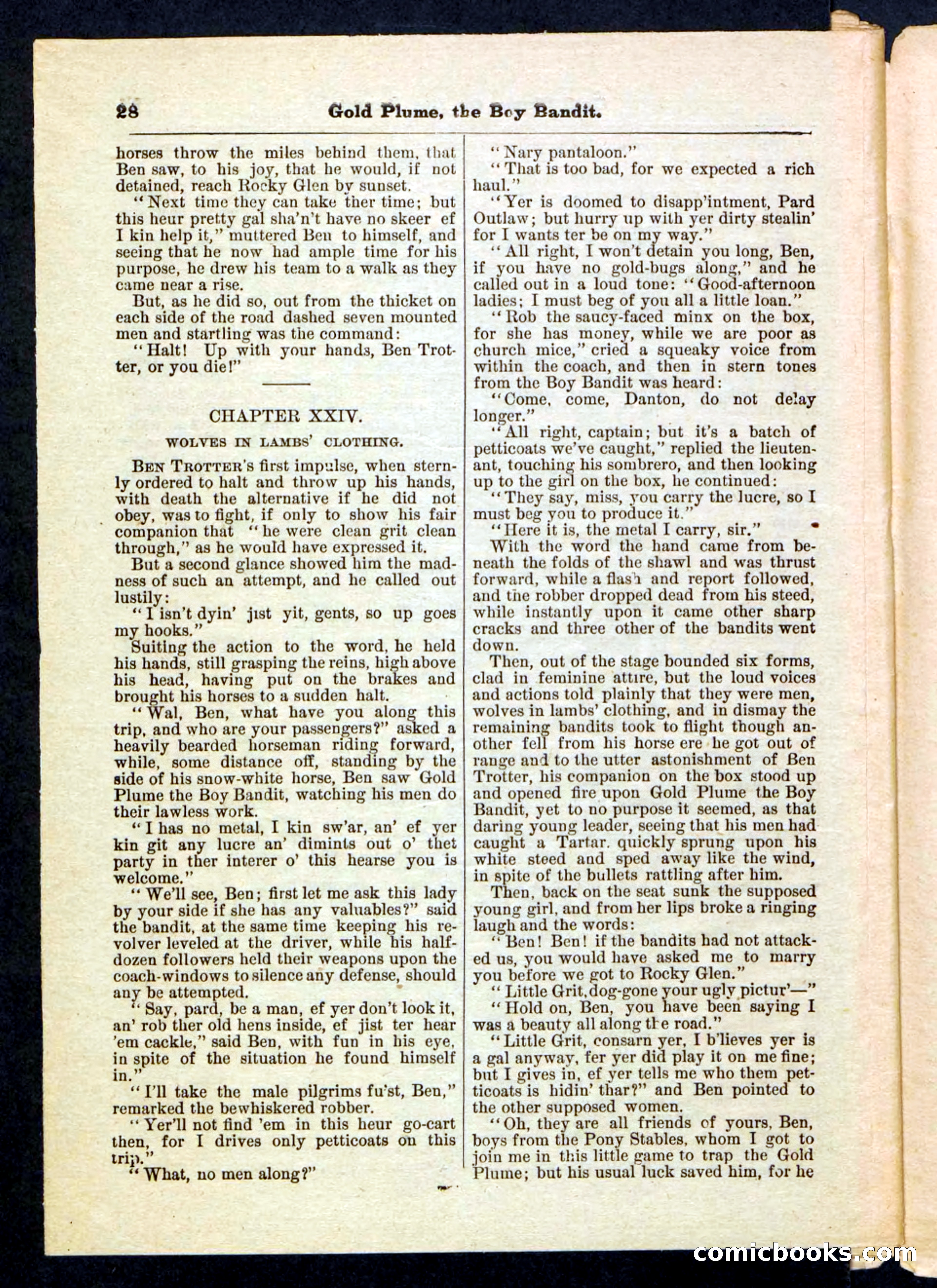 Beadle's Pocket Library No. 155 — page 28 of 32