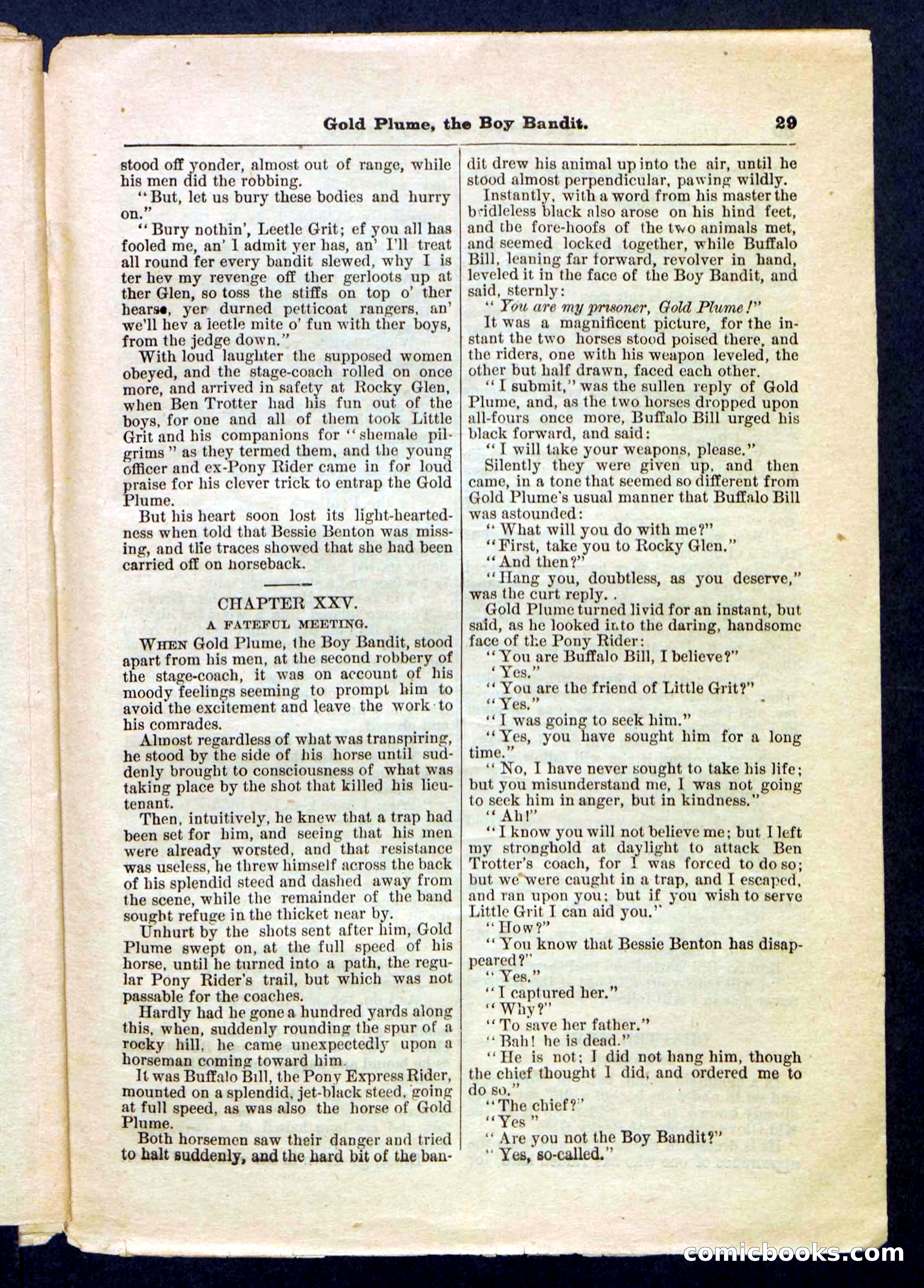 Beadle's Pocket Library No. 155 — page 29 of 32