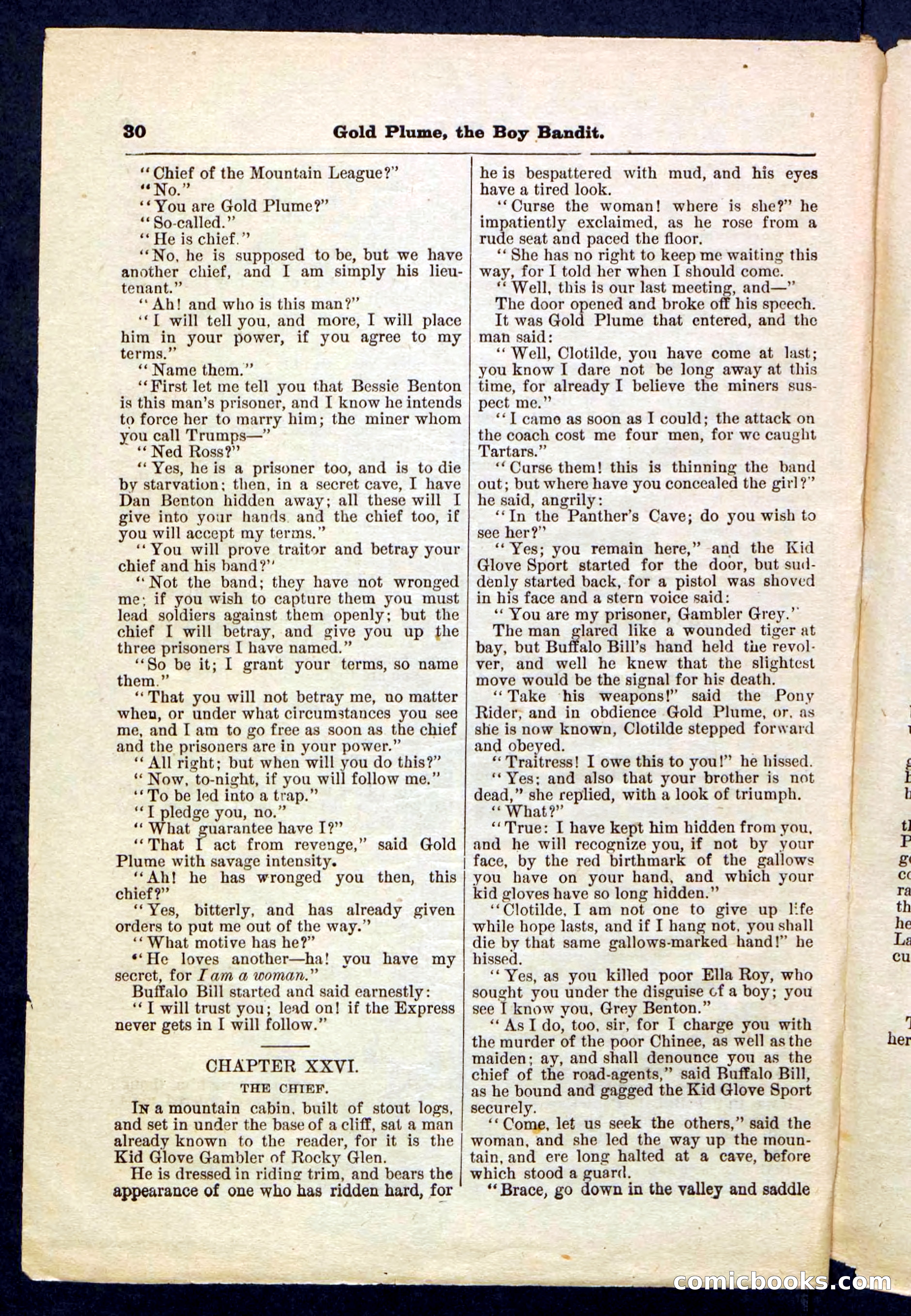 Beadle's Pocket Library No. 155 — page 30 of 32
