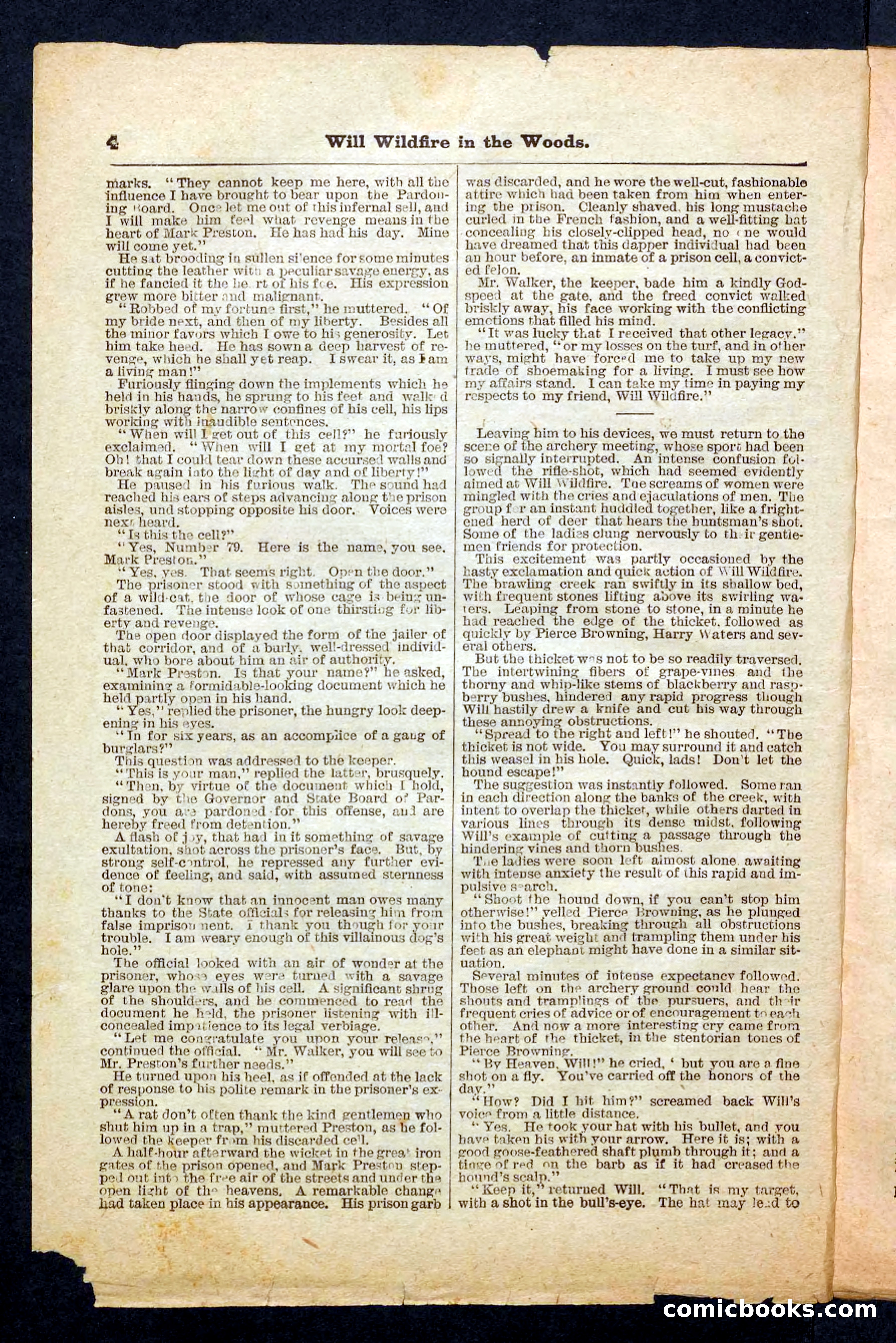 Beadle's Pocket Library No. 156 — page 4 of 32