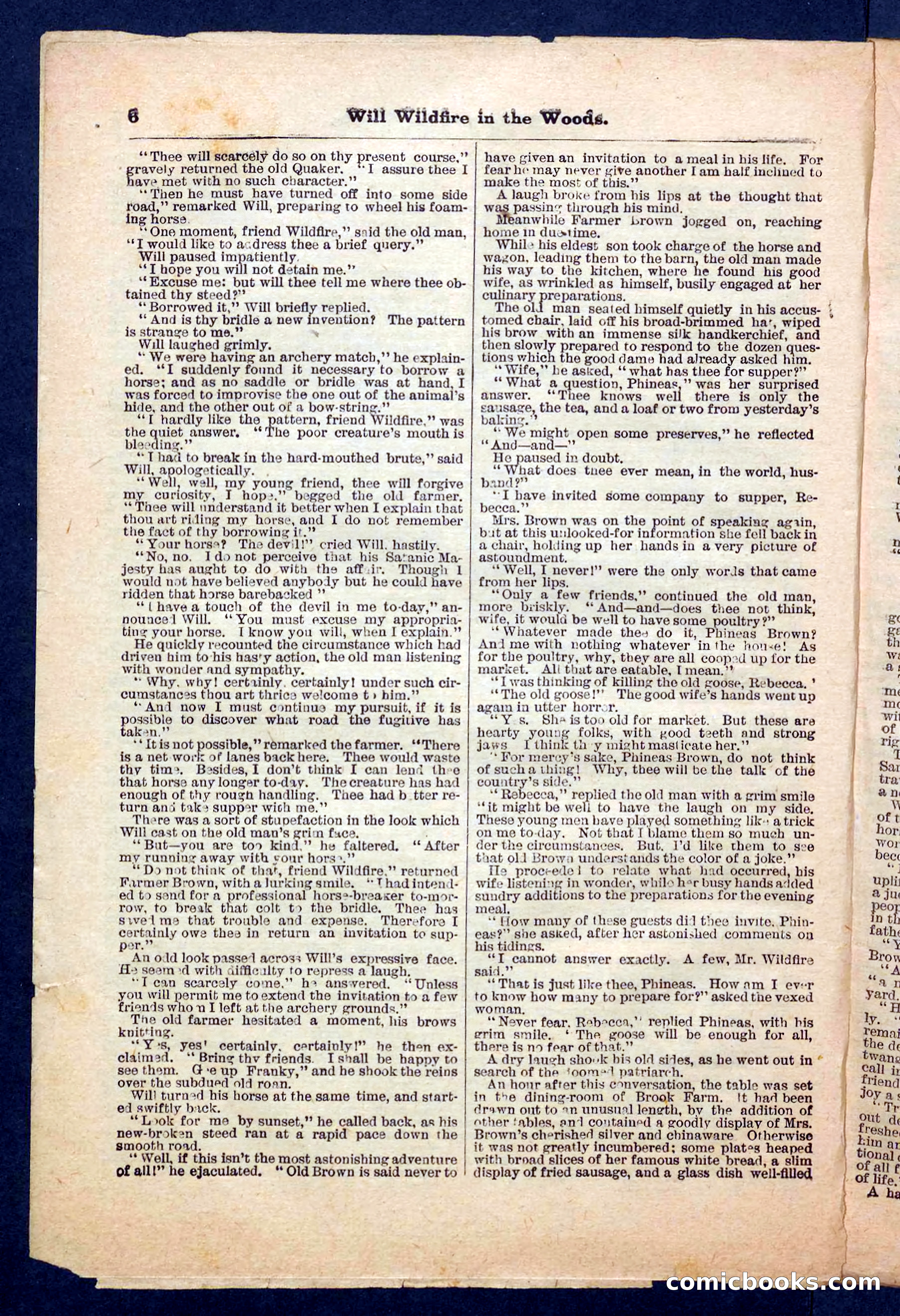 Beadle's Pocket Library No. 156 — page 6 of 32