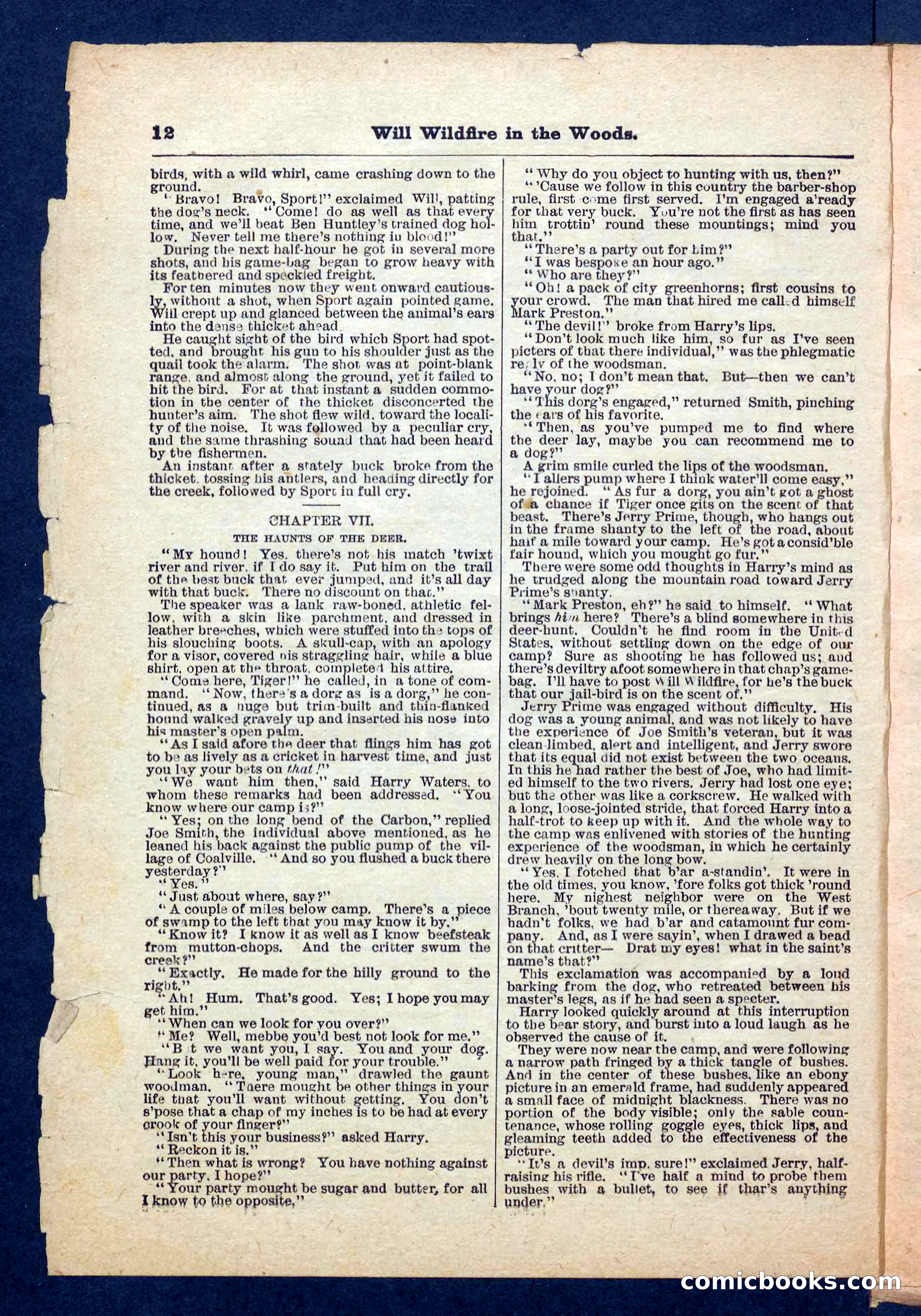 Beadle's Pocket Library No. 156 — page 12 of 32